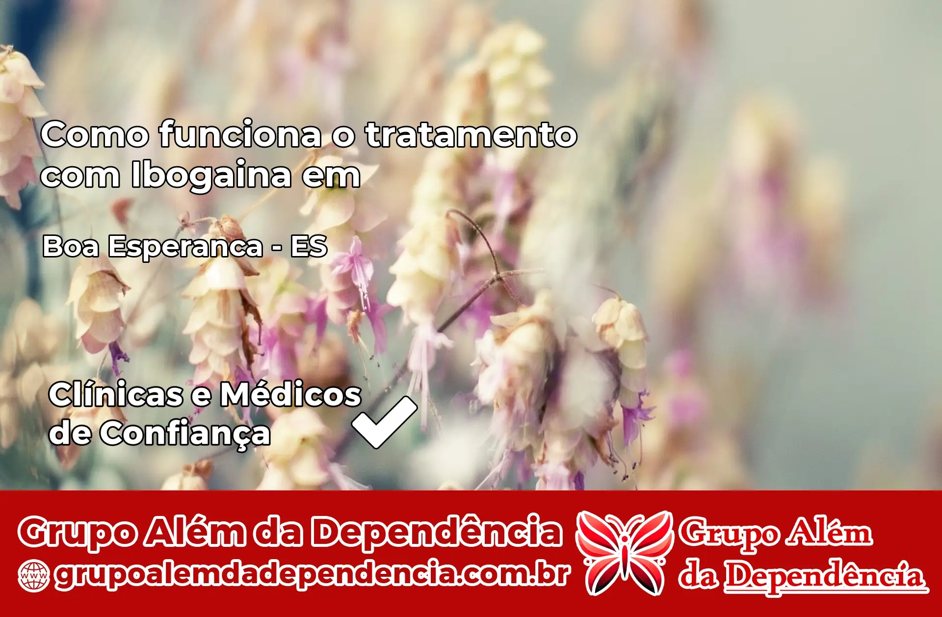 Como Funciona Ibogaína em Boa Esperança – ES