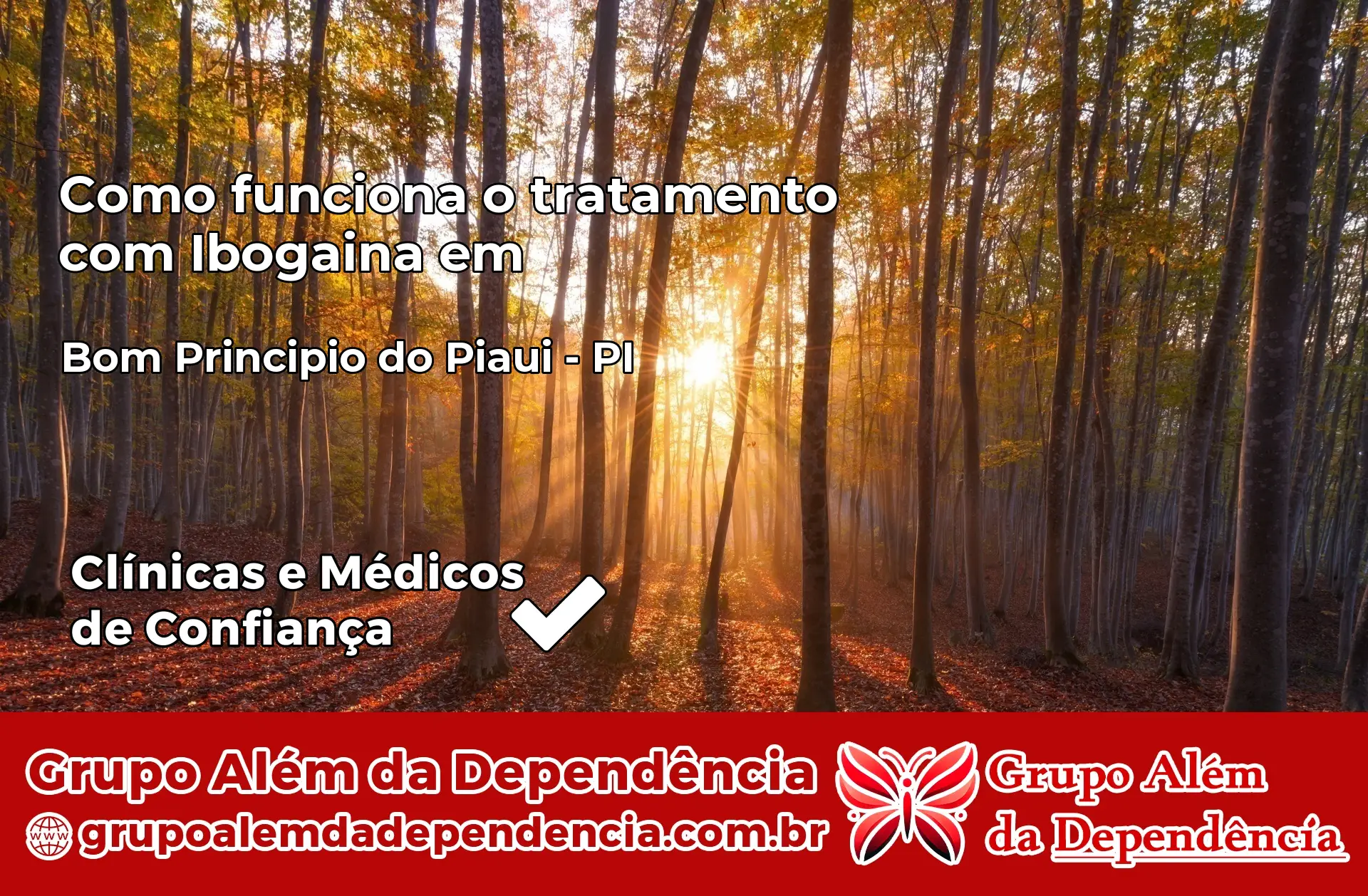 Como Funciona Ibogaína em Bom Princípio do Piauí – PI