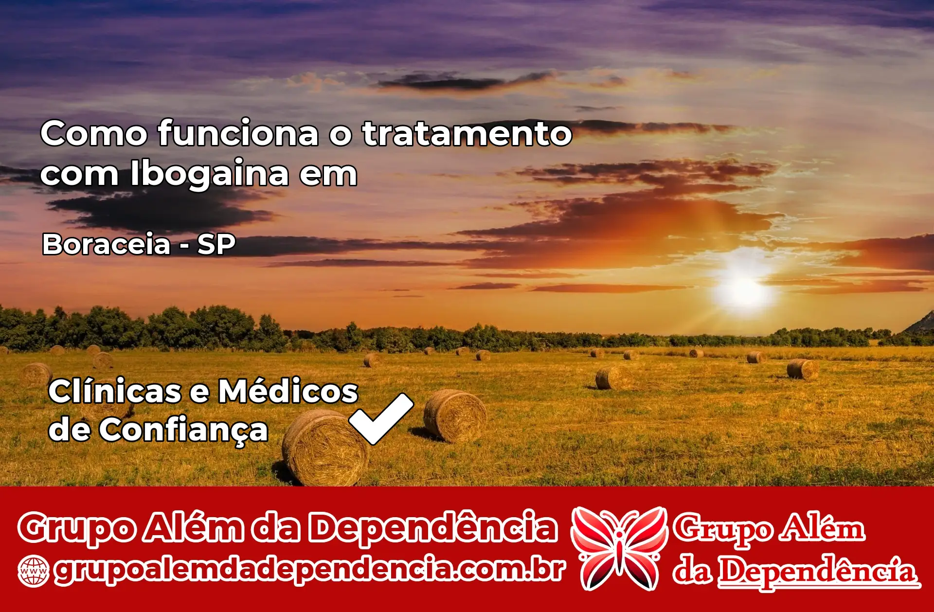 Como Funciona Ibogaína em Boracéia – SP