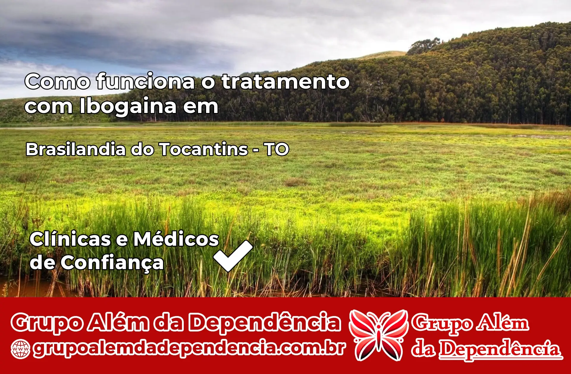 Como Funciona Ibogaína em Brasilândia do Tocantins – TO