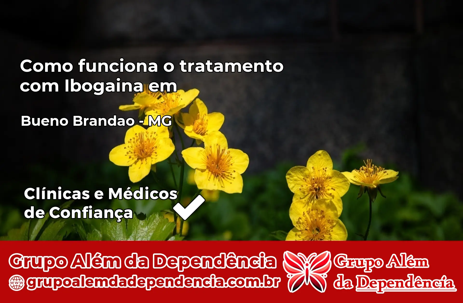 Como Funciona Ibogaína em Bueno Brandão – MG