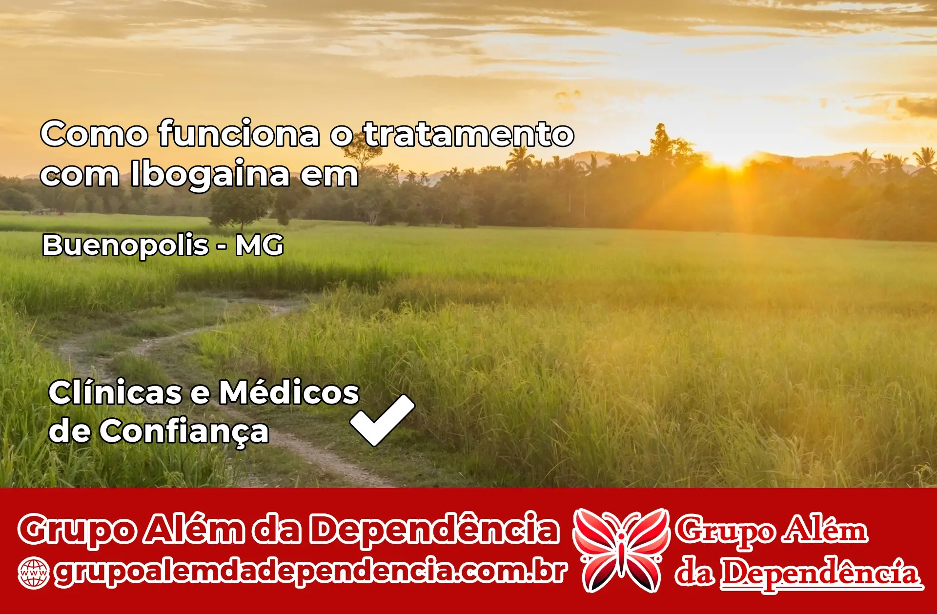 Como Funciona Ibogaína em Buenópolis – MG