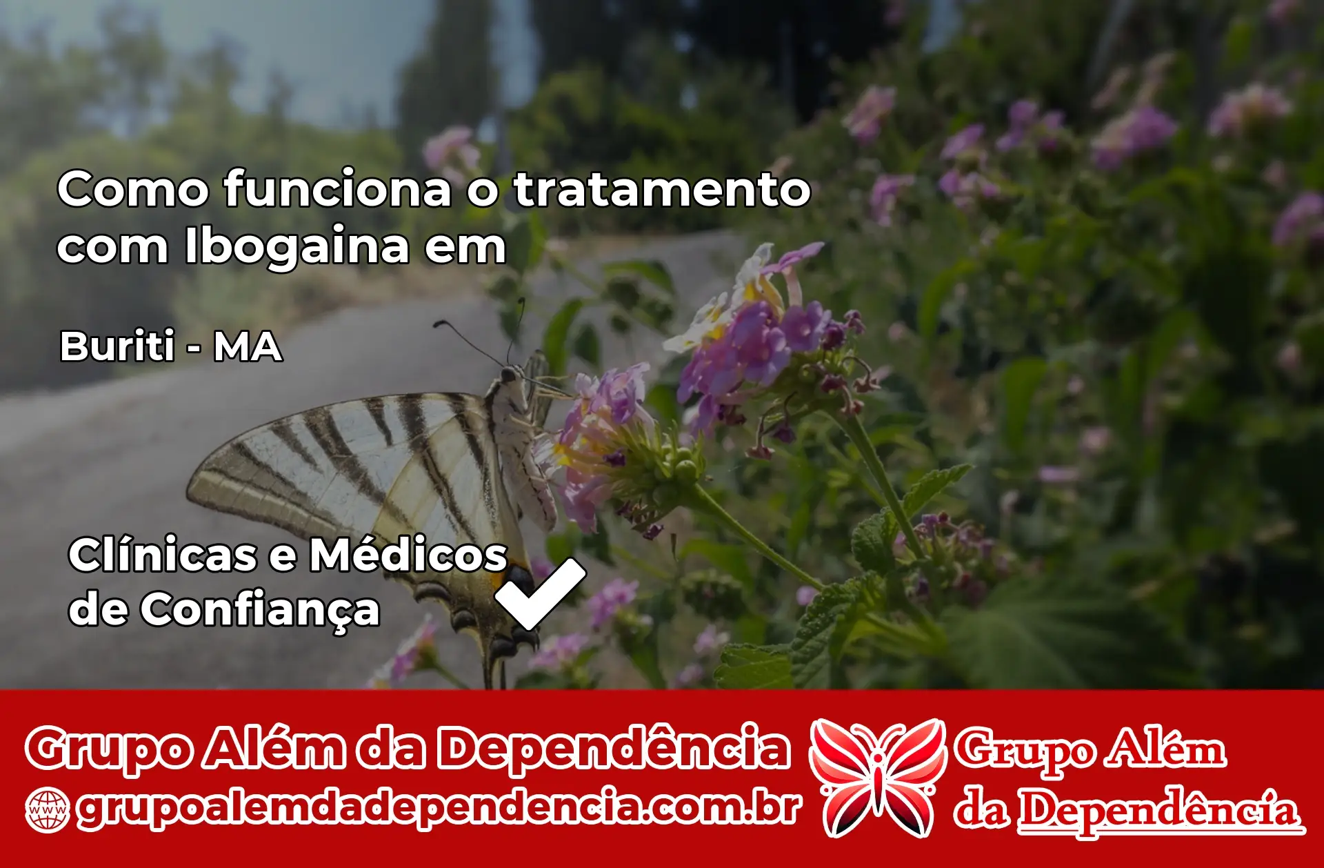 Como Funciona Ibogaína em Buriti – MA