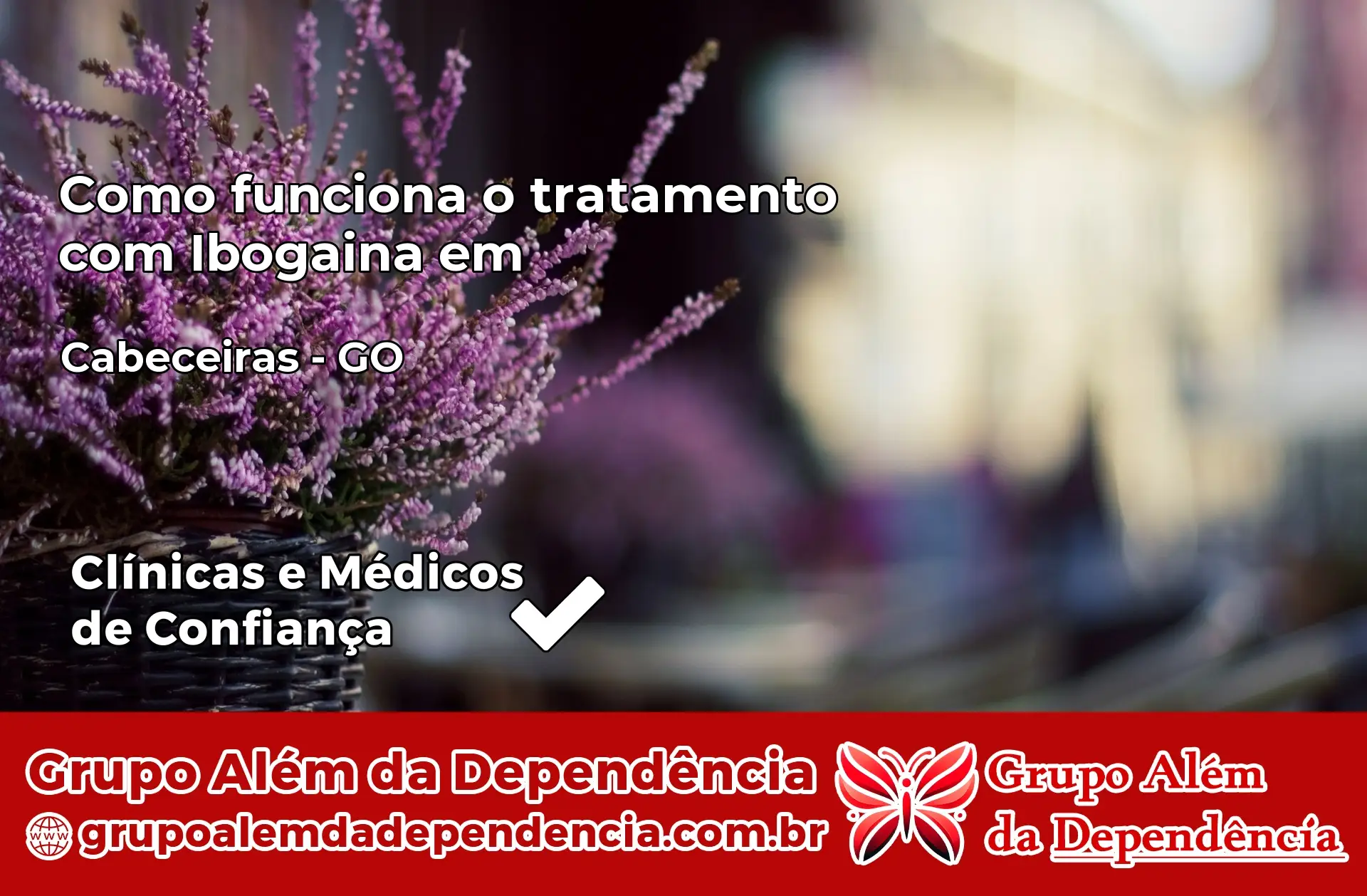 Como Funciona Ibogaína em Cabeceiras – GO