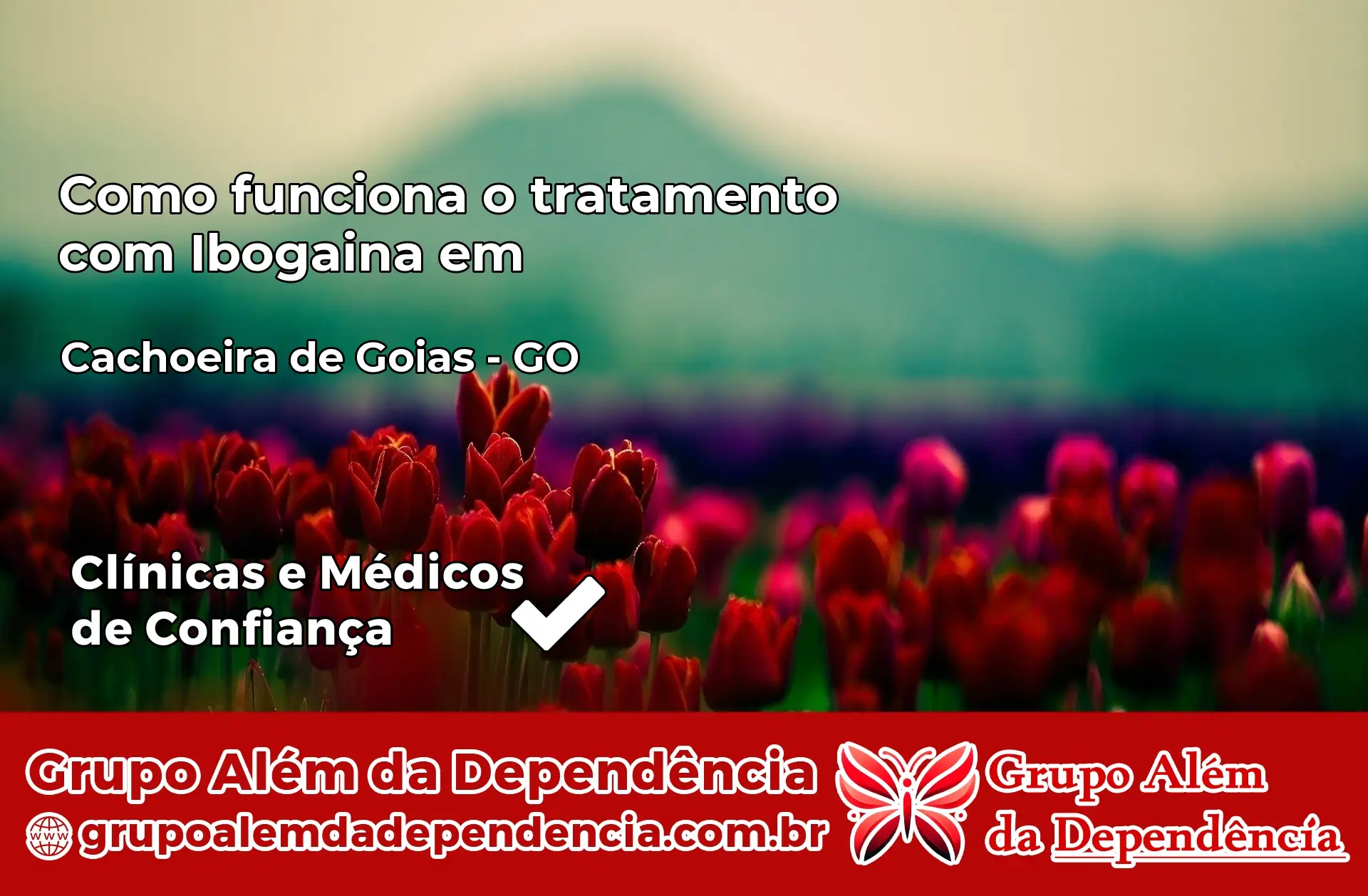 Como Funciona Ibogaína em Cachoeira de Goiás – GO