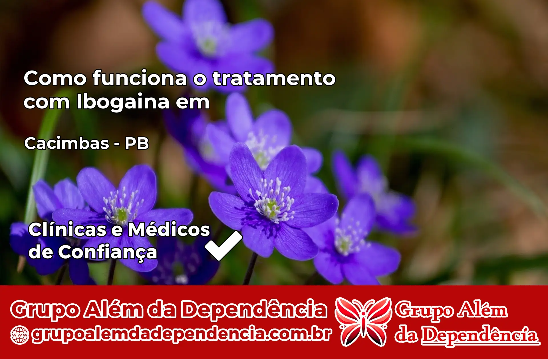 Como Funciona Ibogaína em Cacimbas – PB