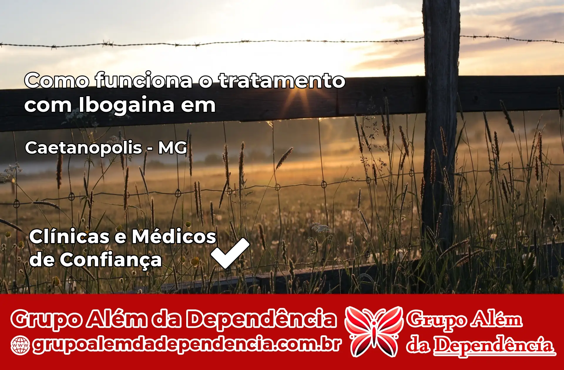 Como Funciona Ibogaína em Caetanópolis – MG