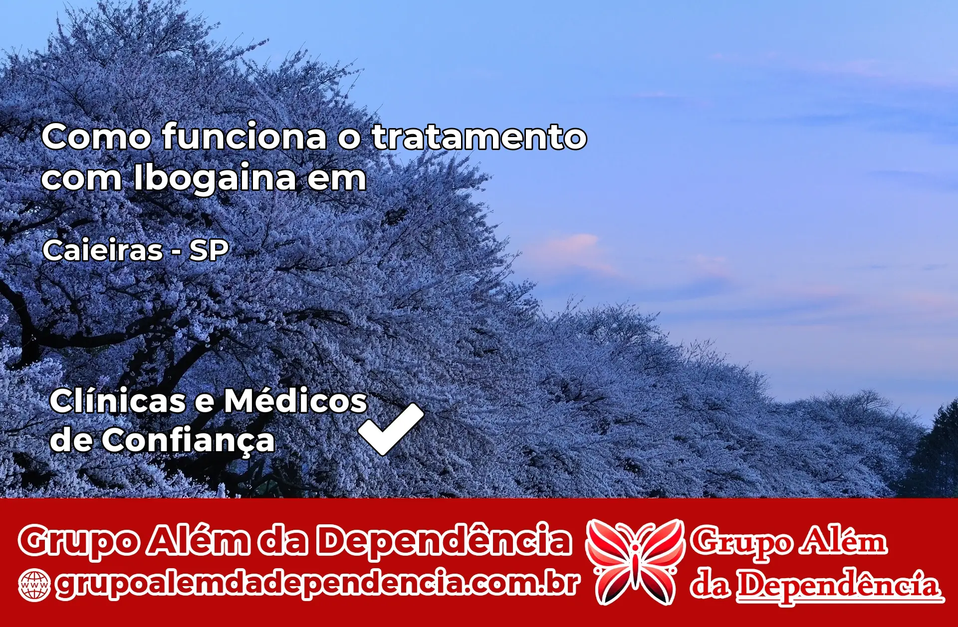 Como Funciona Ibogaína em Caieiras – SP