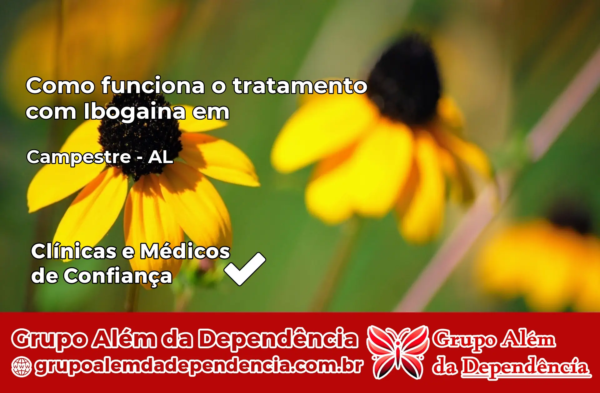 Como Funciona Ibogaína em Campestre – AL