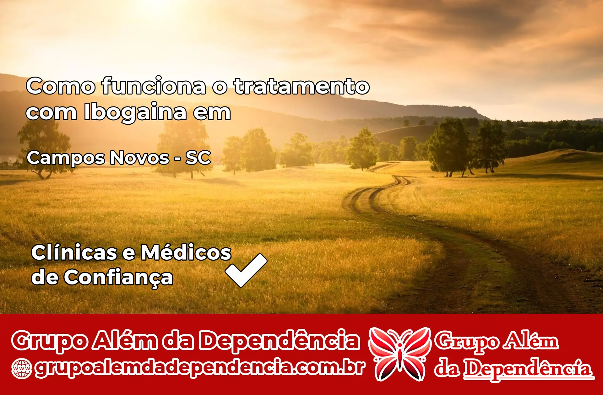 Como Funciona Ibogaína em Campos Novos – SC