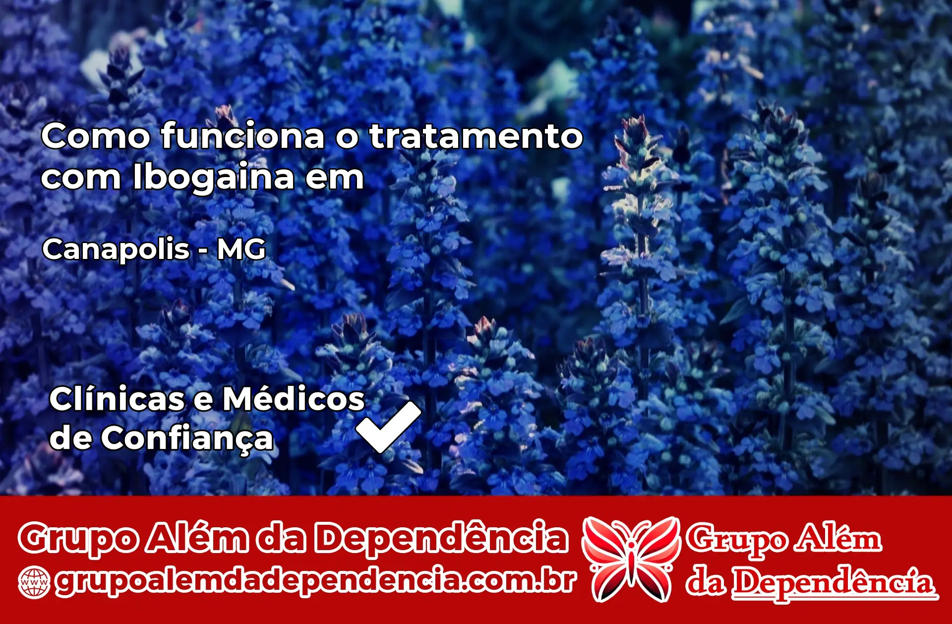 Como Funciona Ibogaína em Canápolis – MG