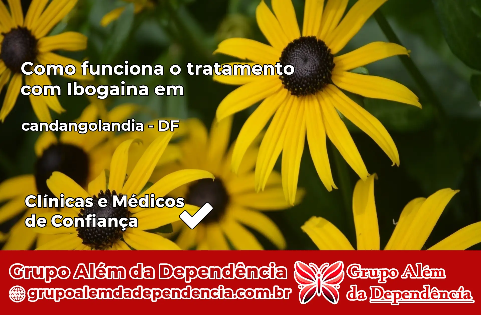 Como Funciona Ibogaína em candangolandia – DF