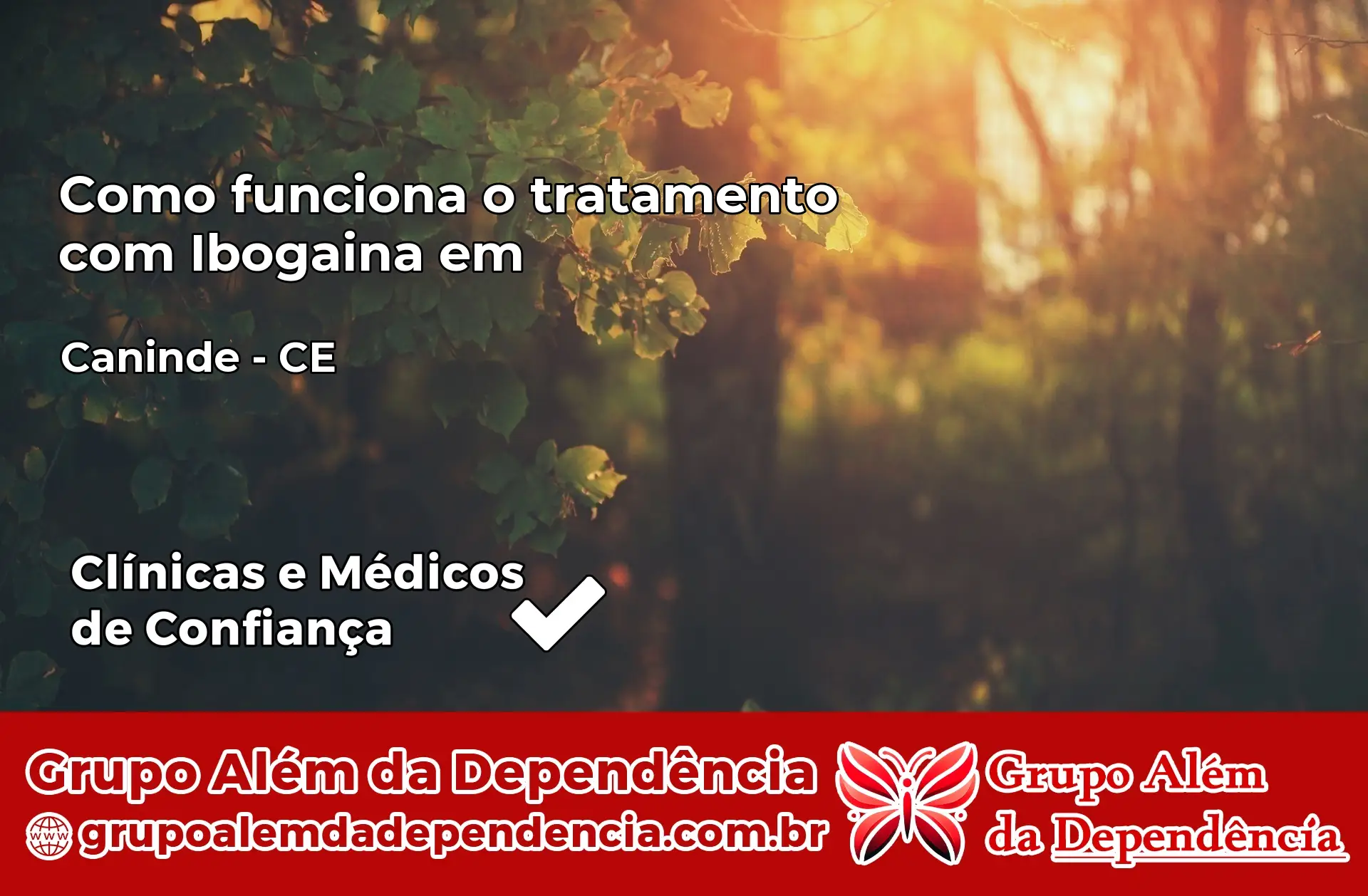 Como Funciona Ibogaína em Canindé – CE