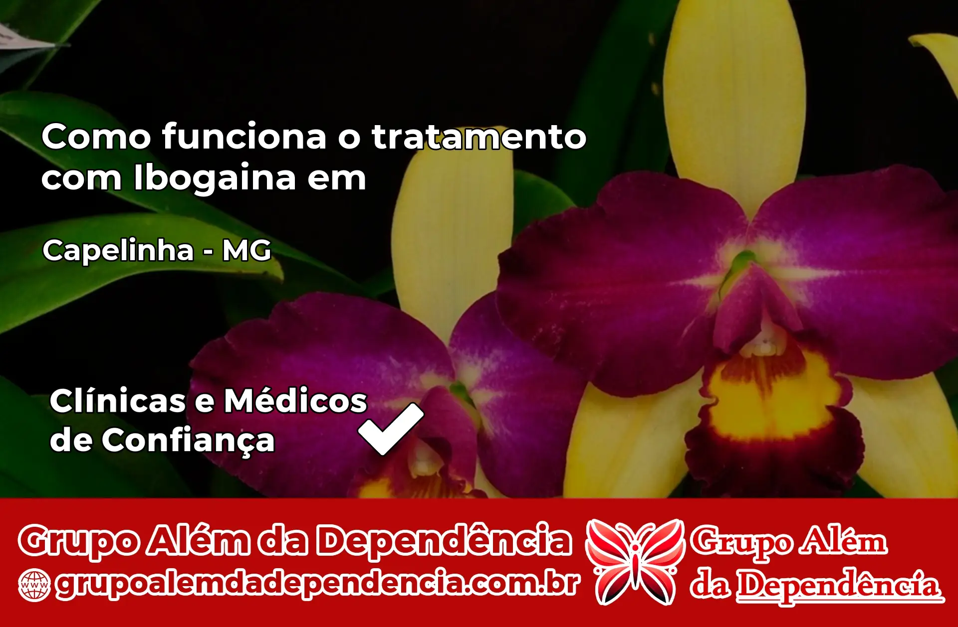 Como Funciona Ibogaína em Capelinha – MG