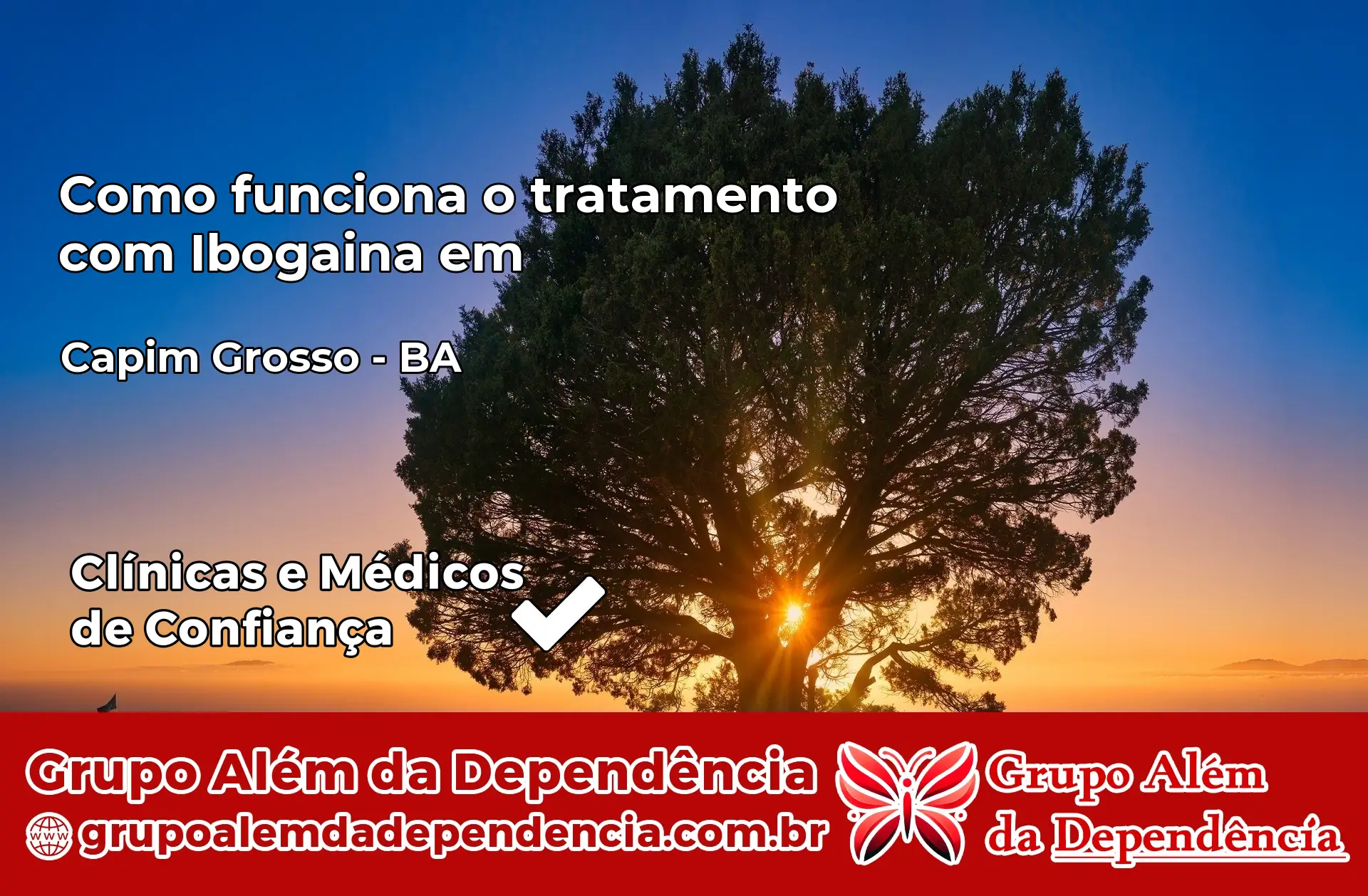 Como Funciona Ibogaína em Capim Grosso – BA