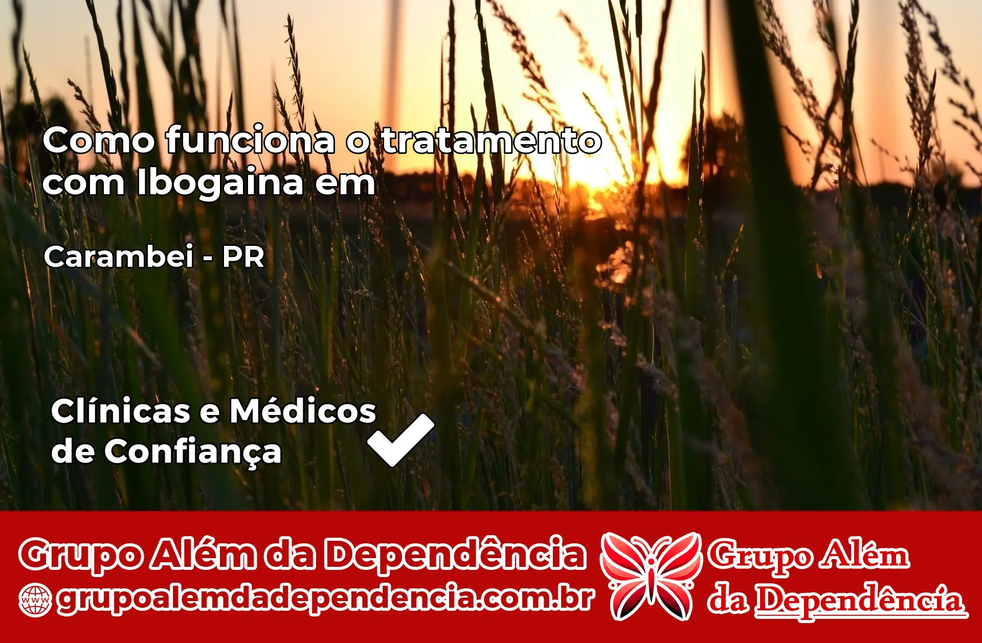 Como Funciona Ibogaína em Carambeí – PR
