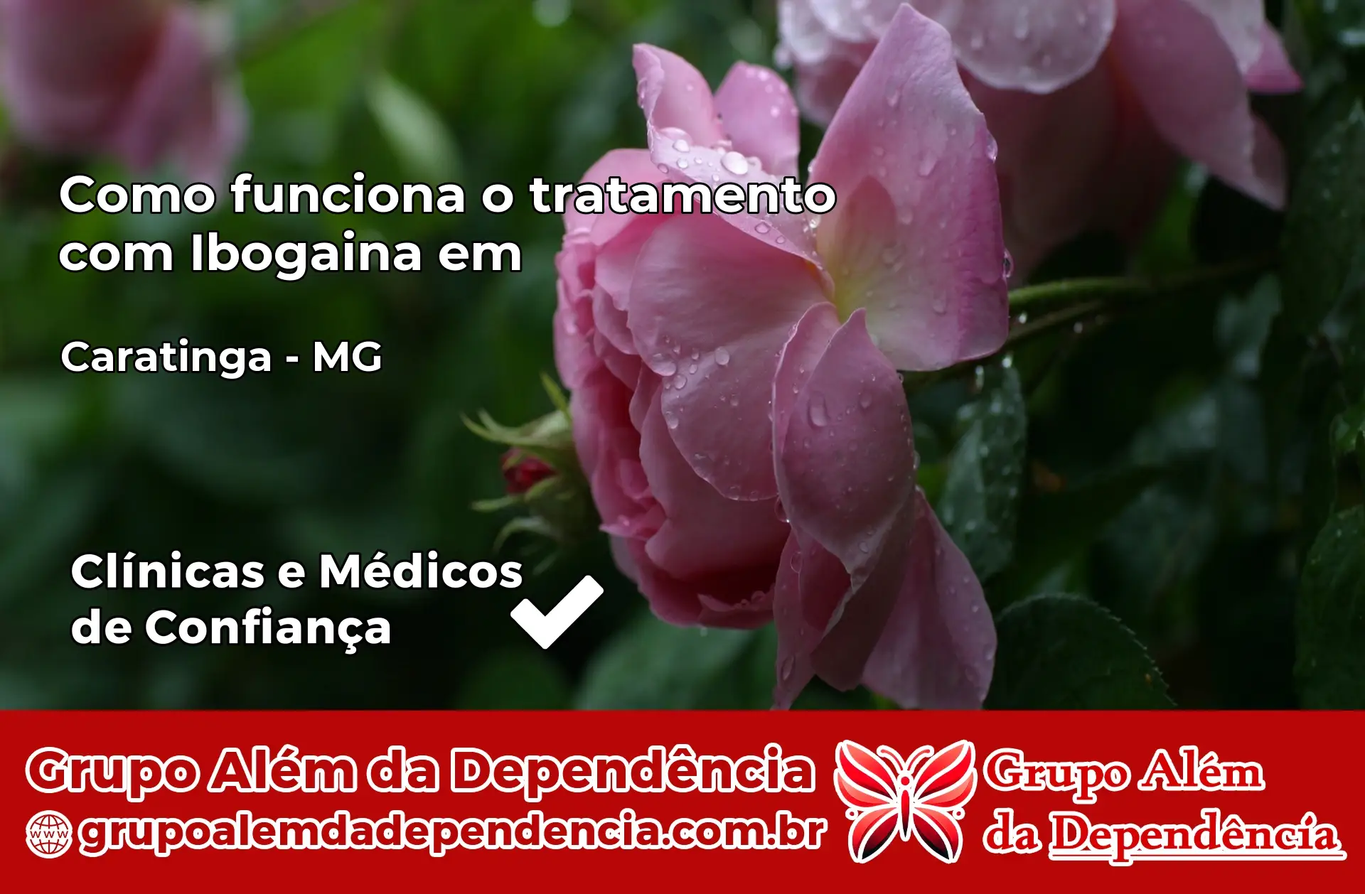 Como Funciona Ibogaína em Caratinga – MG
