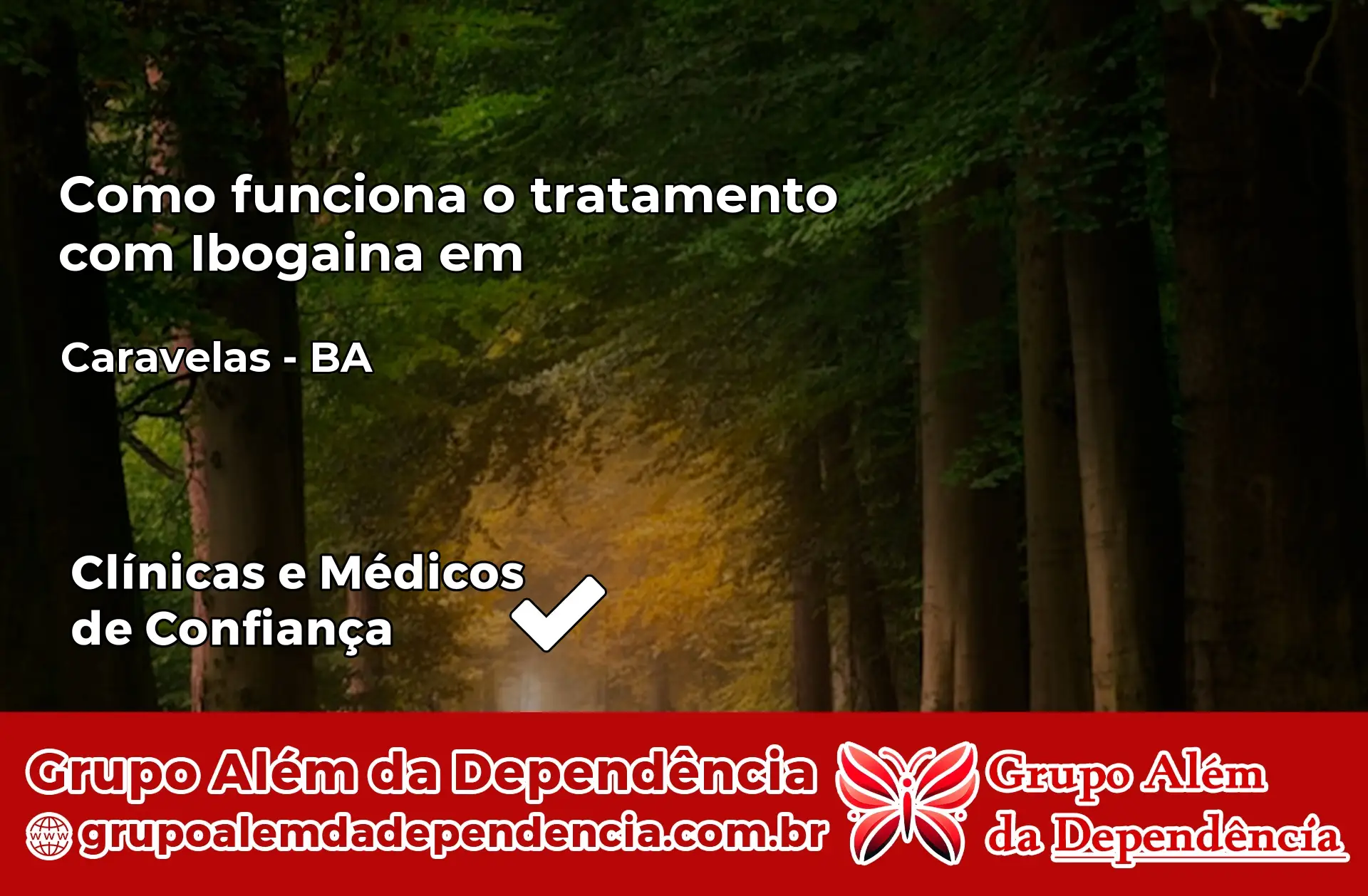 Como Funciona Ibogaína em Caravelas – BA