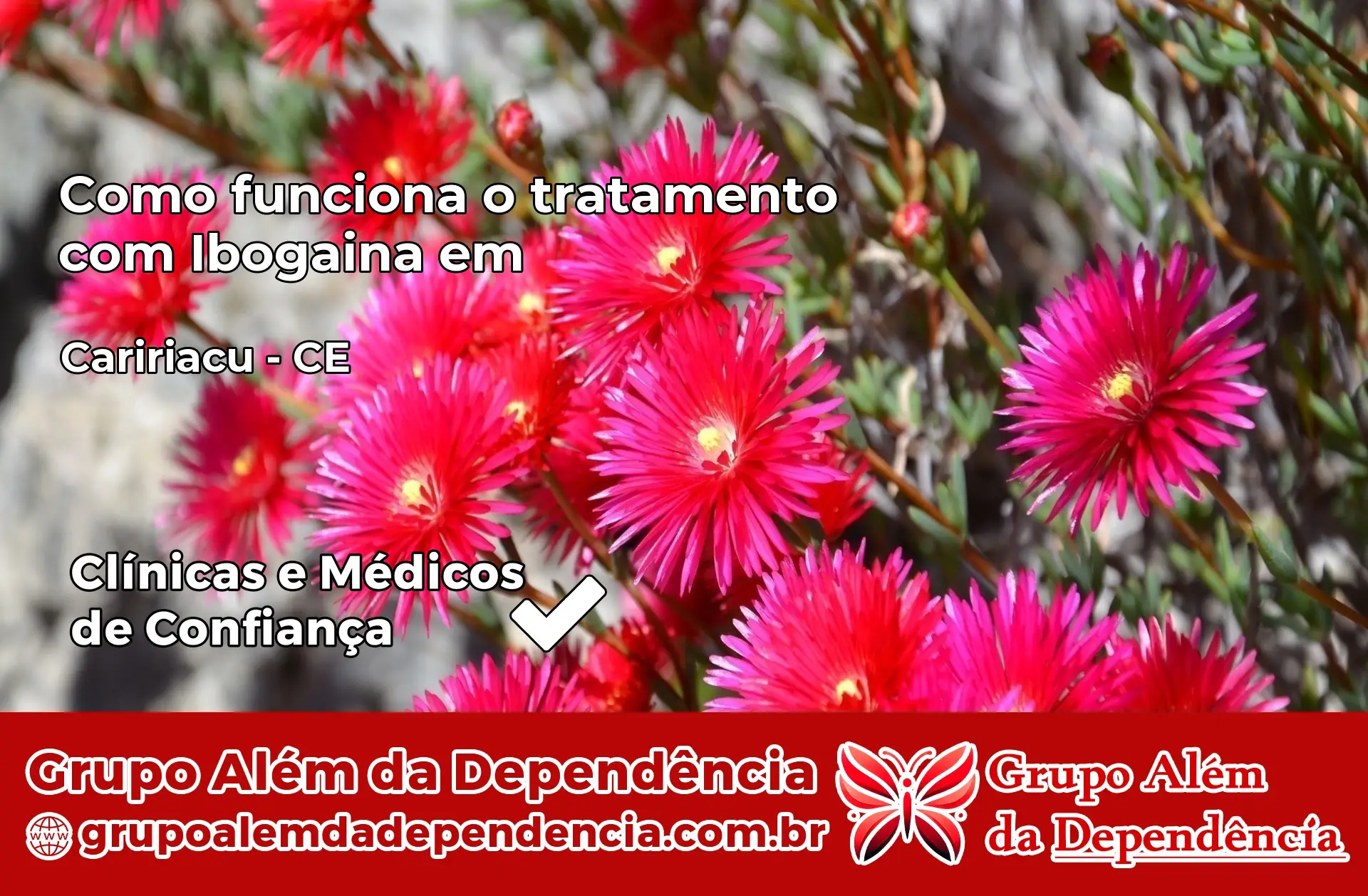 Como Funciona Ibogaína em Caririaçu – CE