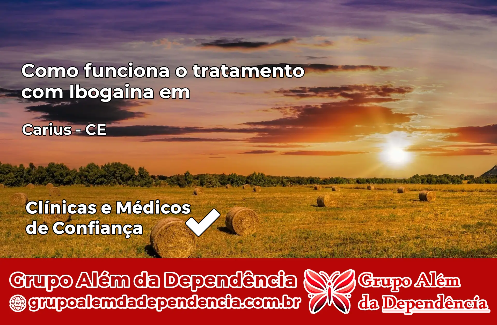 Como Funciona Ibogaína em Cariús – CE