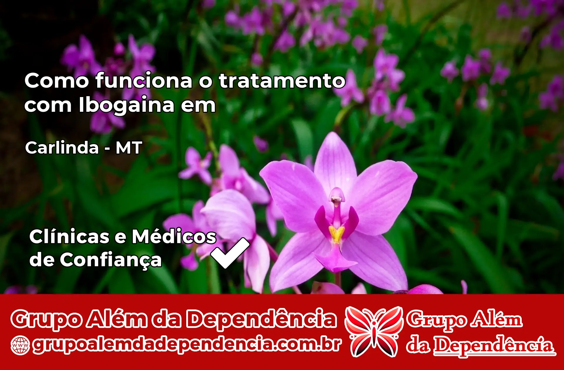 Como Funciona Ibogaína em Carlinda – MT