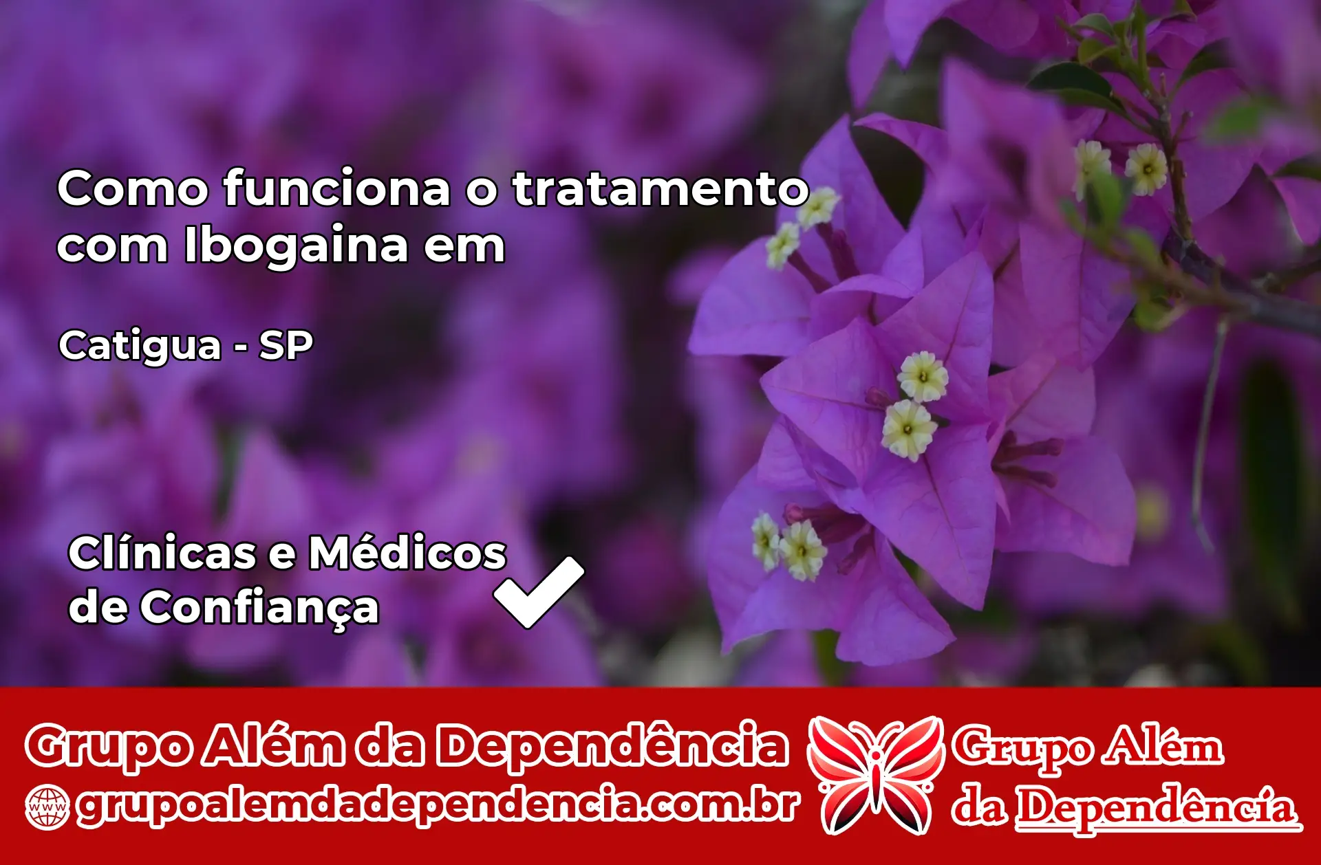 Como Funciona Ibogaína em Catiguá – SP