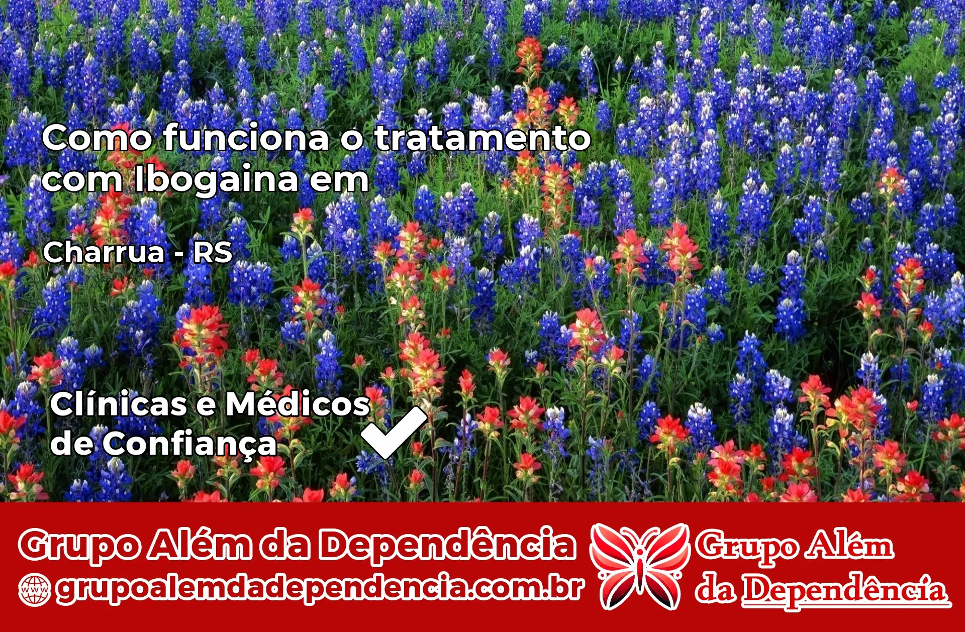 Como Funciona Ibogaína em Charrua – RS