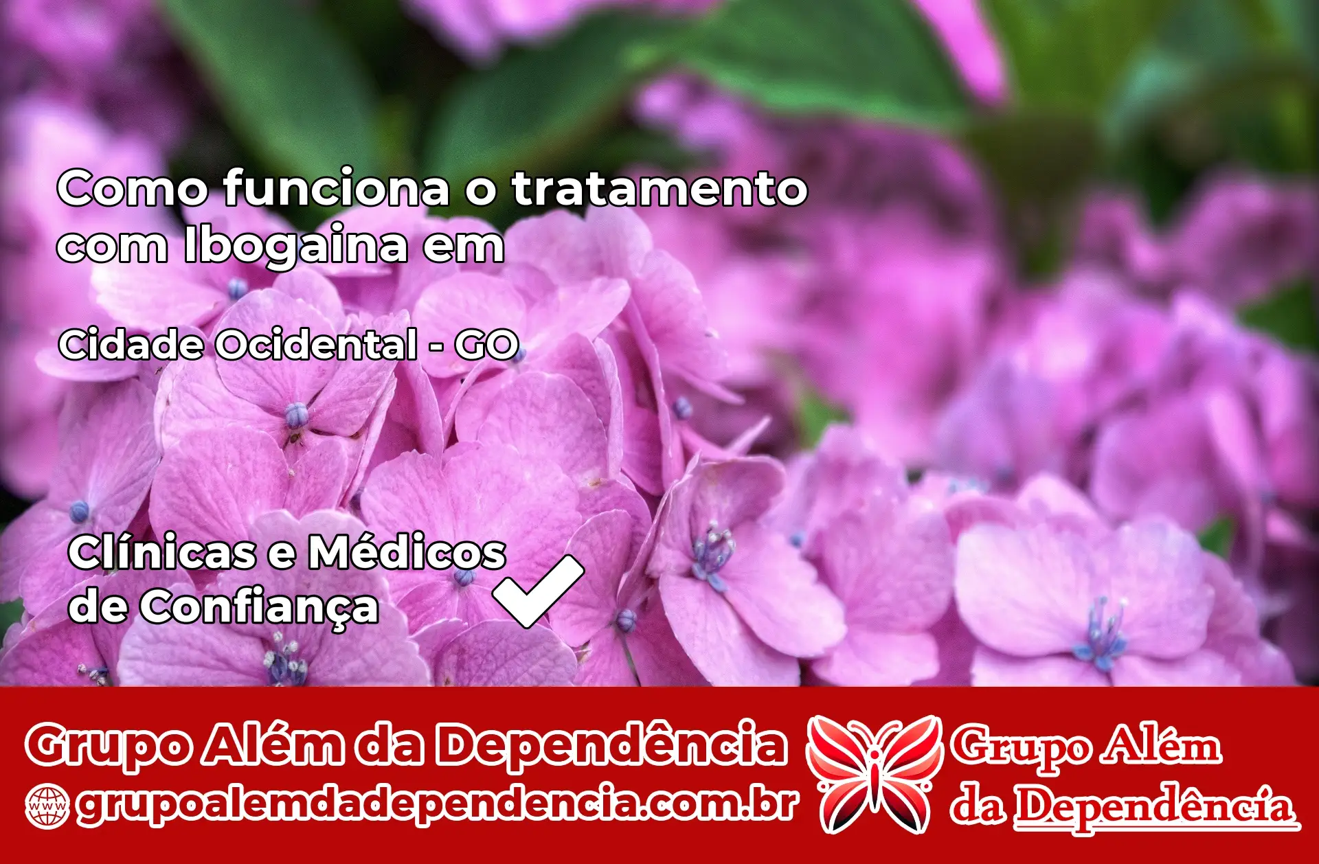 Como Funciona Ibogaína em Cidade Ocidental – GO