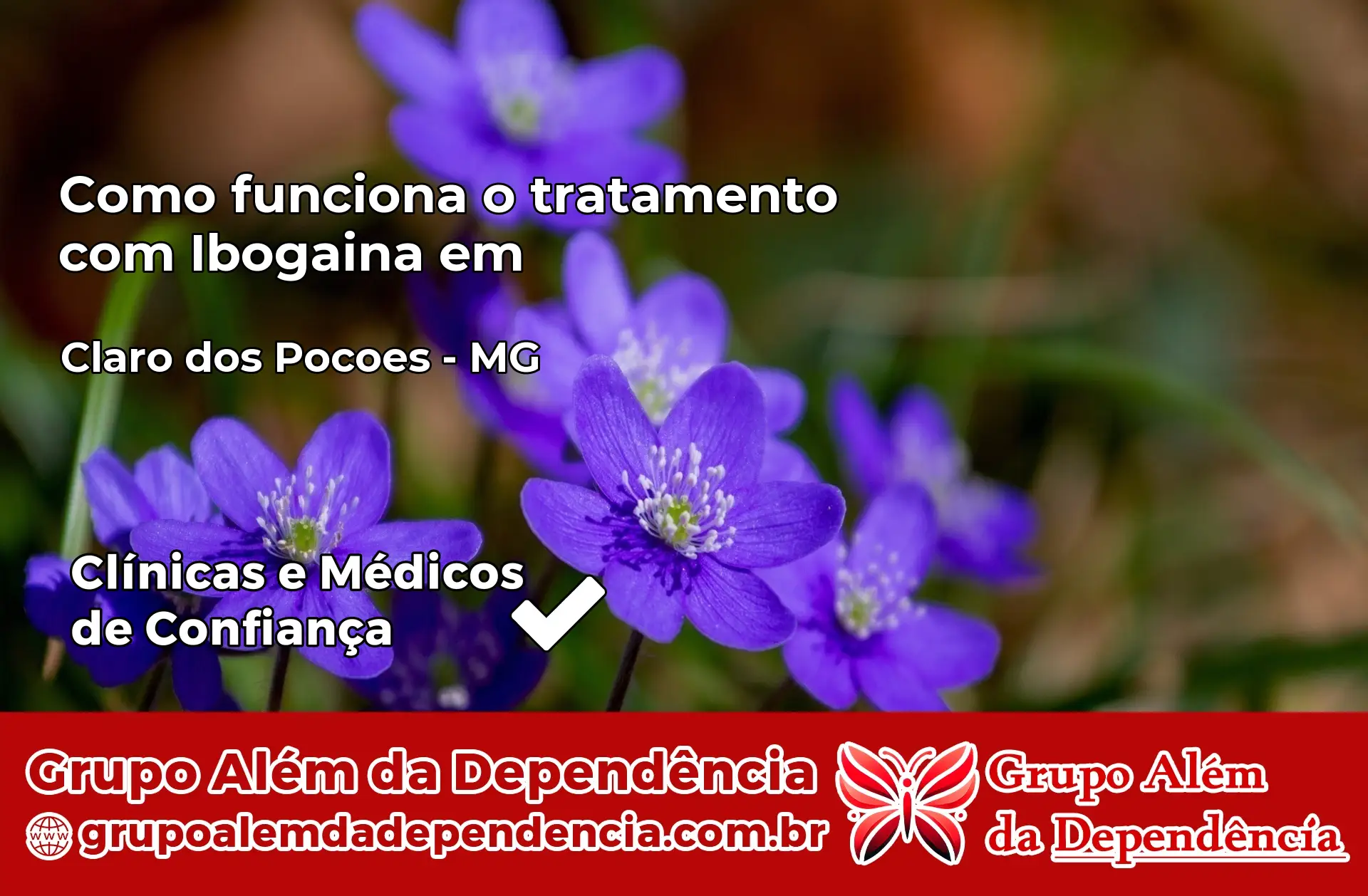 Como Funciona Ibogaína em Claro dos Poções – MG