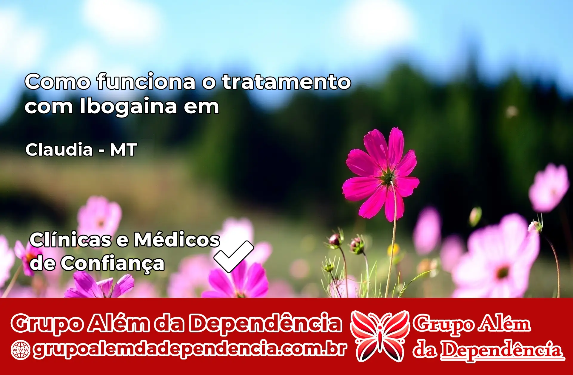 Como Funciona Ibogaína em Cláudia – MT