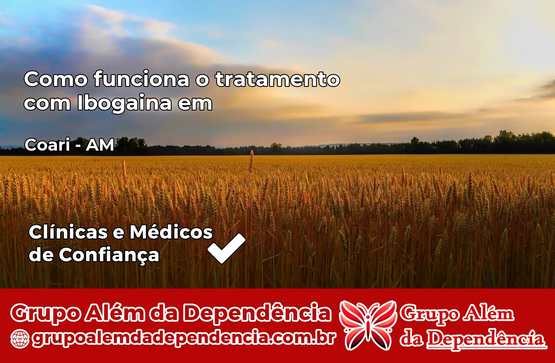 Como Funciona Ibogaína em Coari – AM