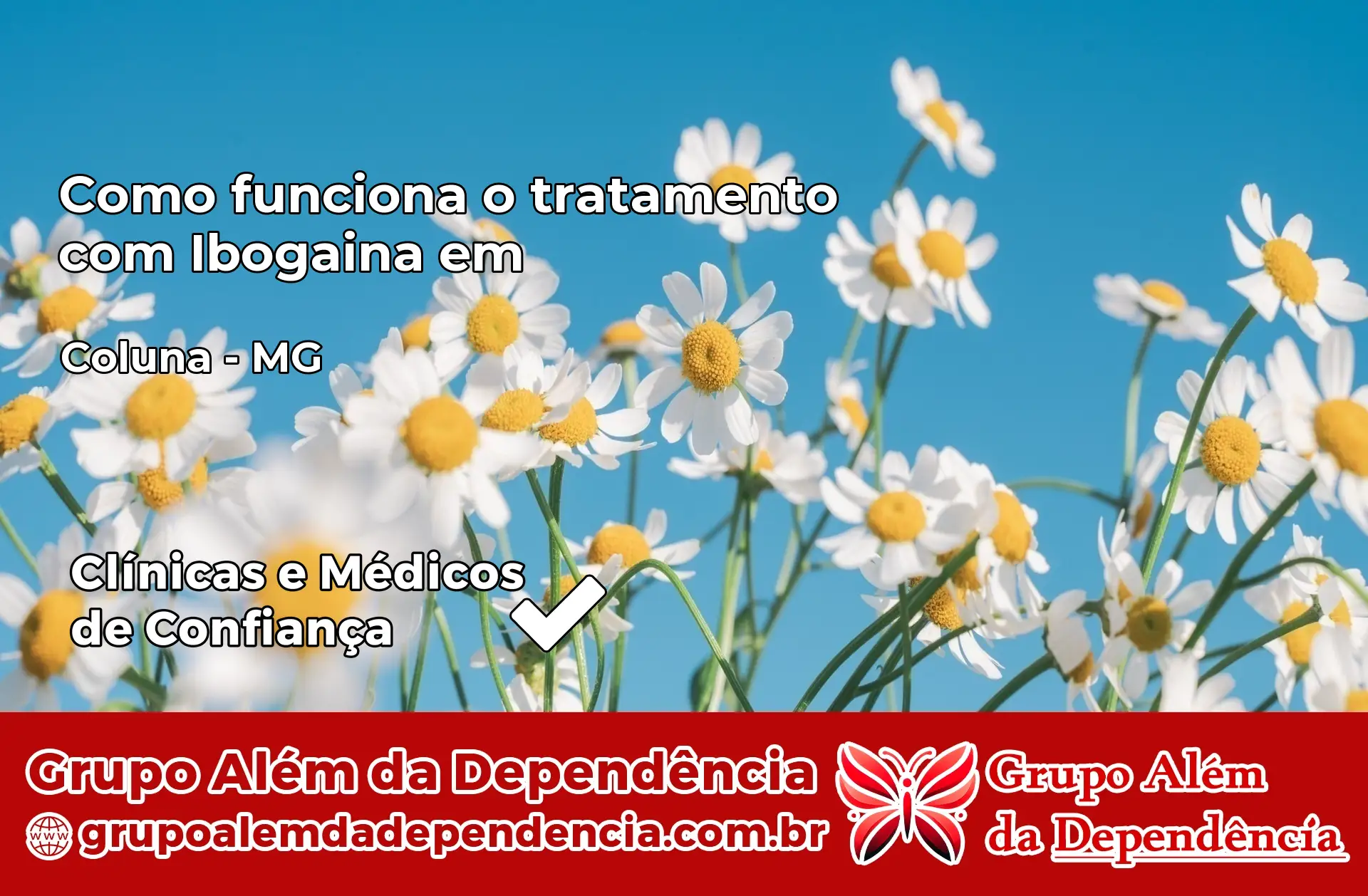 Como Funciona Ibogaína em Coluna – MG