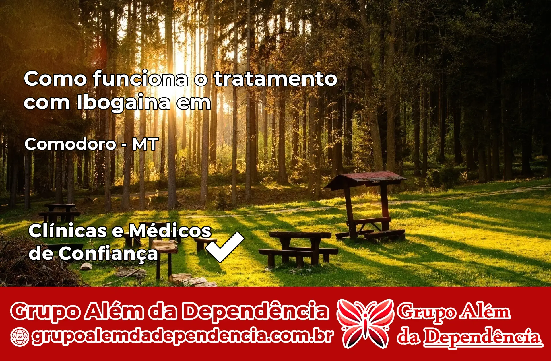 Como Funciona Ibogaína em Comodoro – MT