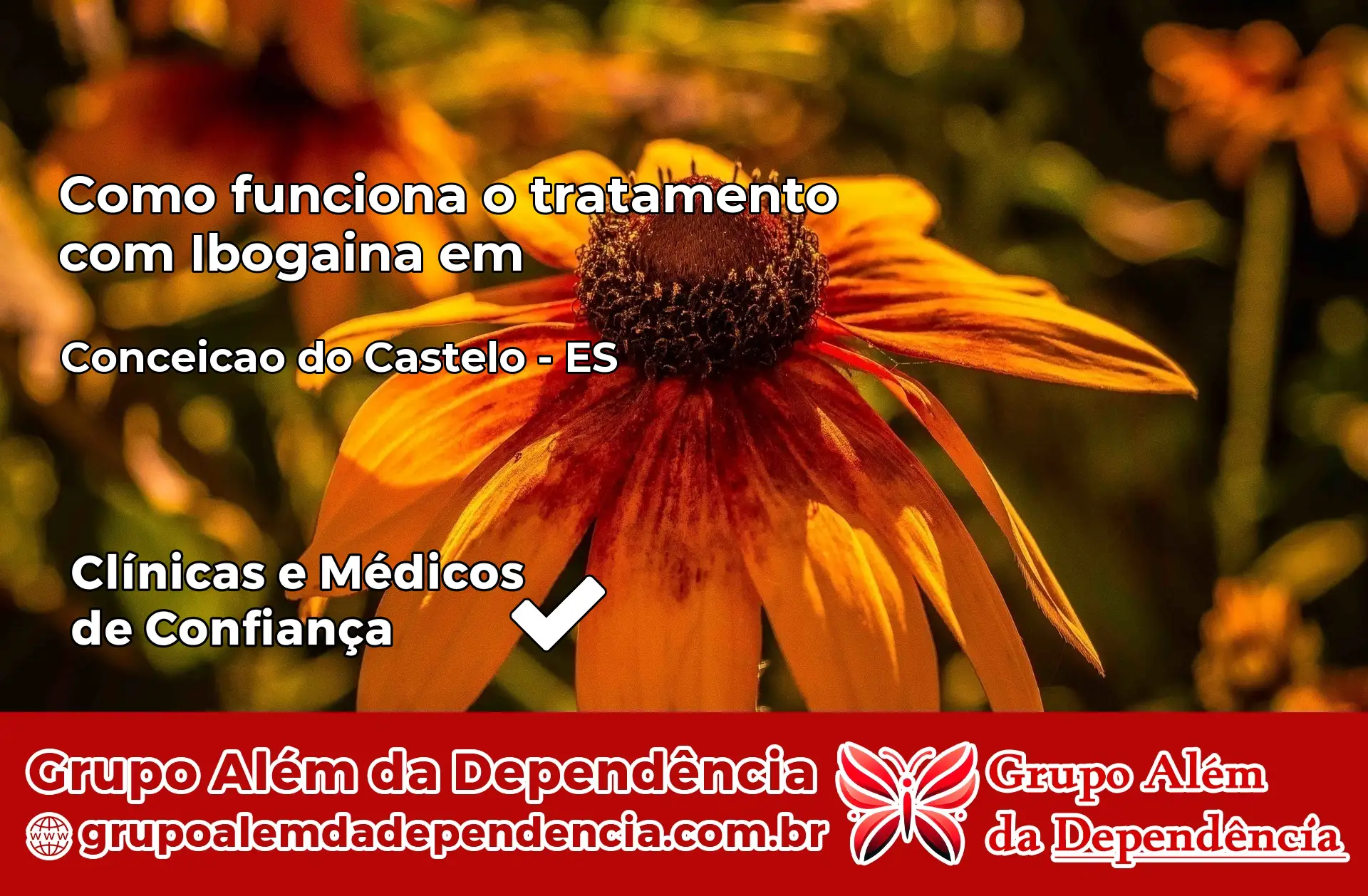 Como Funciona Ibogaína em Conceição do Castelo – ES