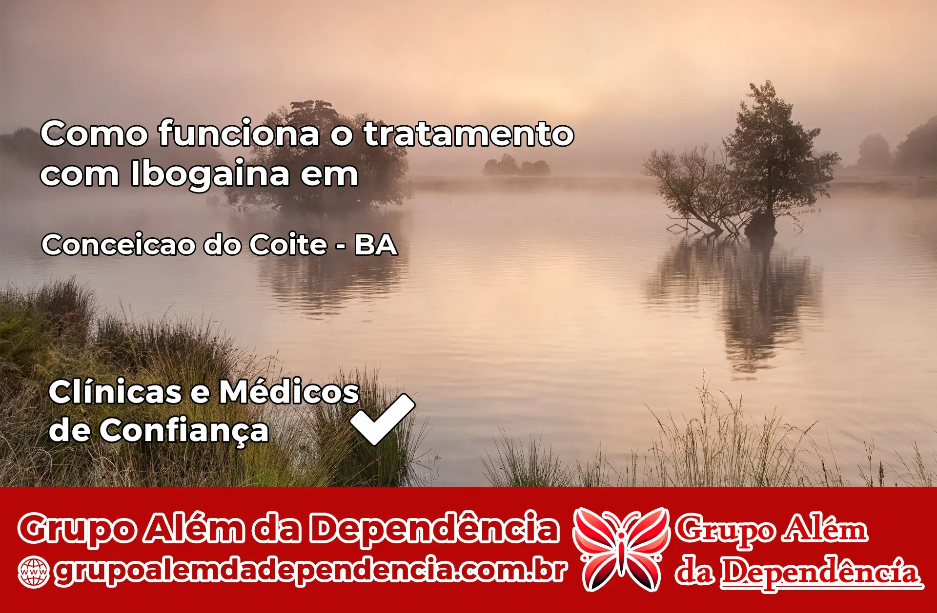 Como Funciona Ibogaína em Conceição do Coité – BA