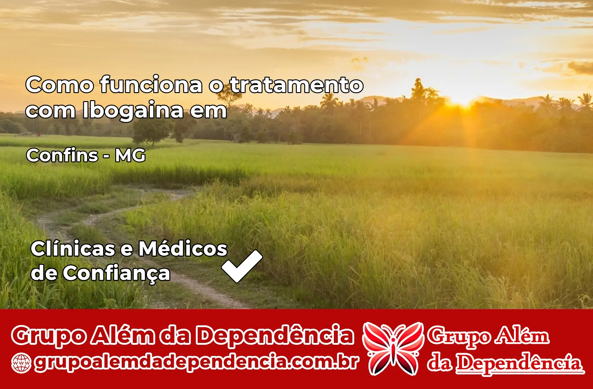 Como Funciona Ibogaína em Confins – MG