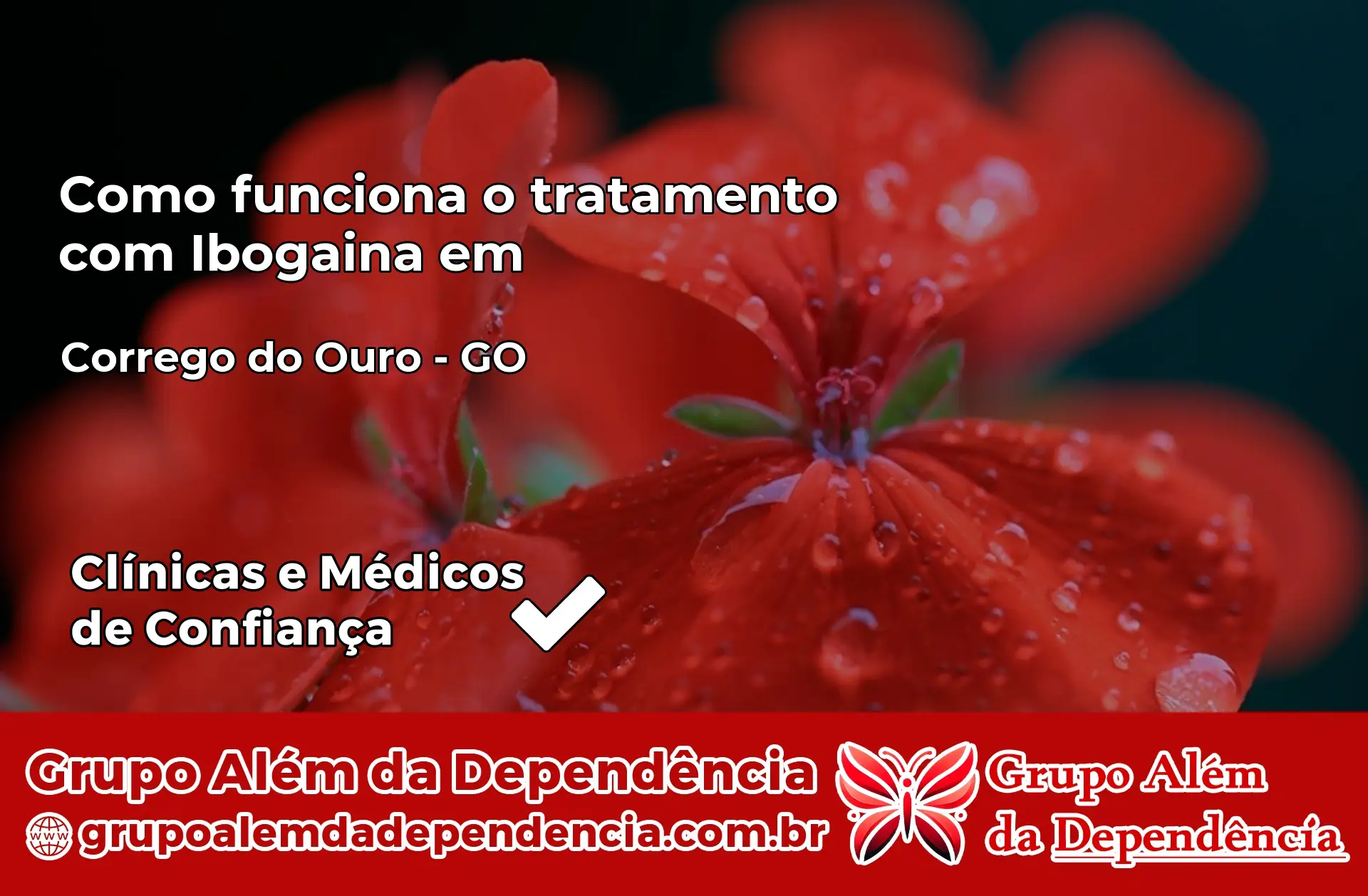 Como Funciona Ibogaína em Córrego do Ouro – GO