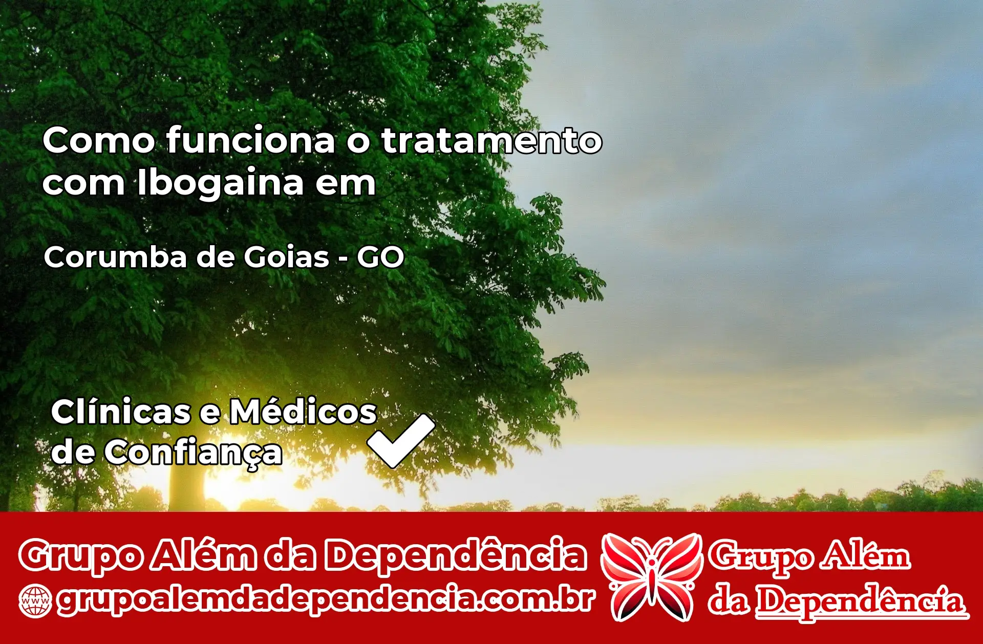 Como Funciona Ibogaína em Corumbá de Goiás – GO