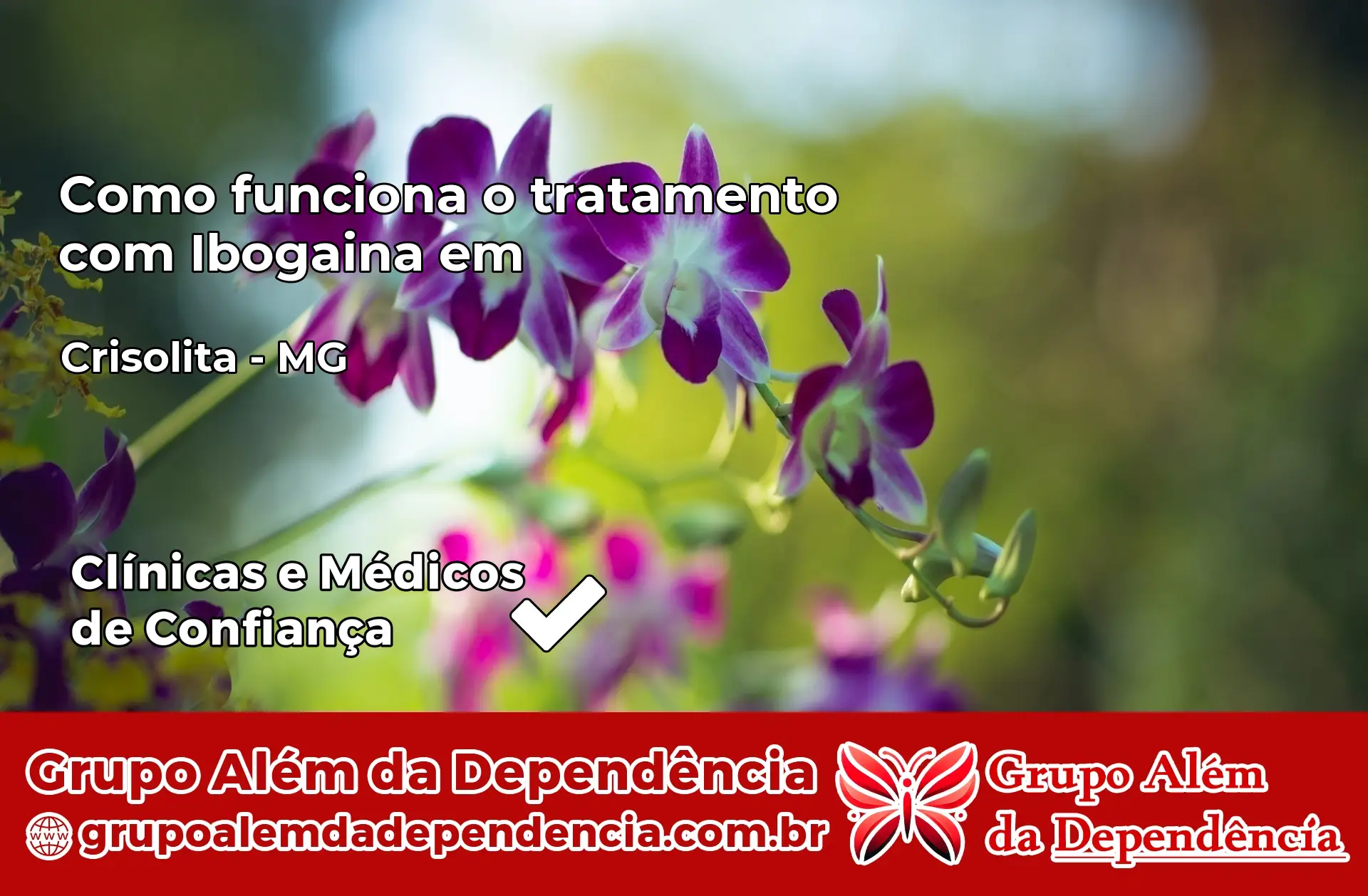 Como Funciona Ibogaína em Crisólita – MG