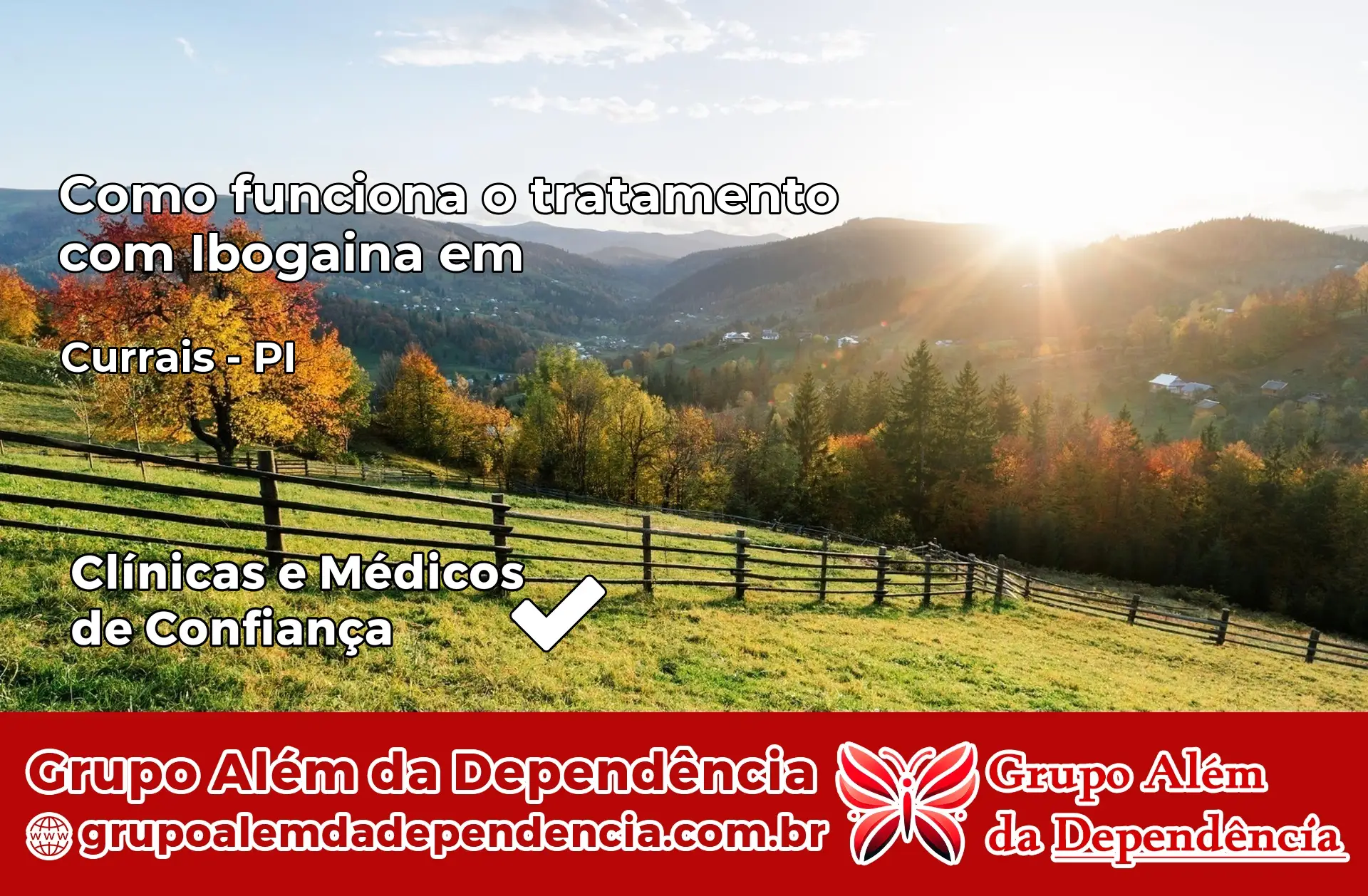 Como Funciona Ibogaína em Currais – PI