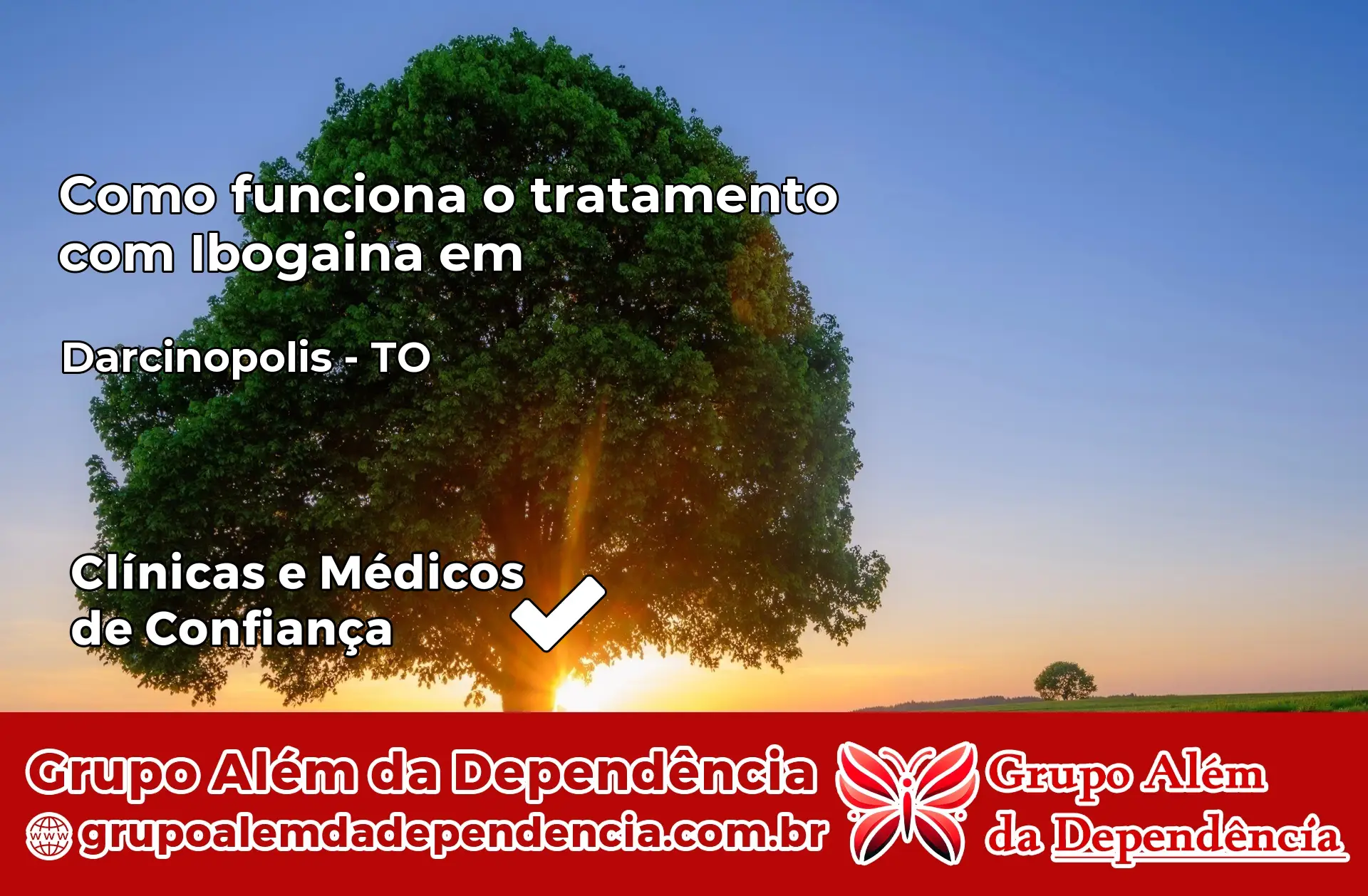 Como Funciona Ibogaína em Darcinópolis – TO