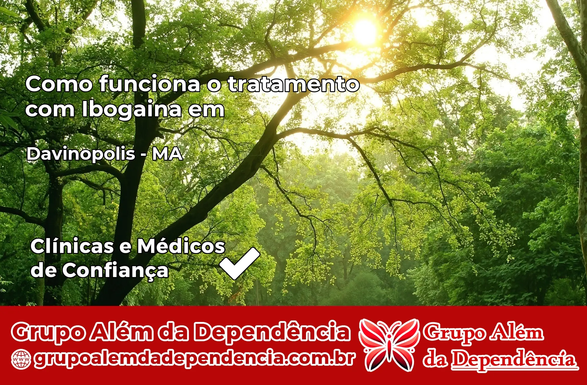 Como Funciona Ibogaína em Davinópolis – MA