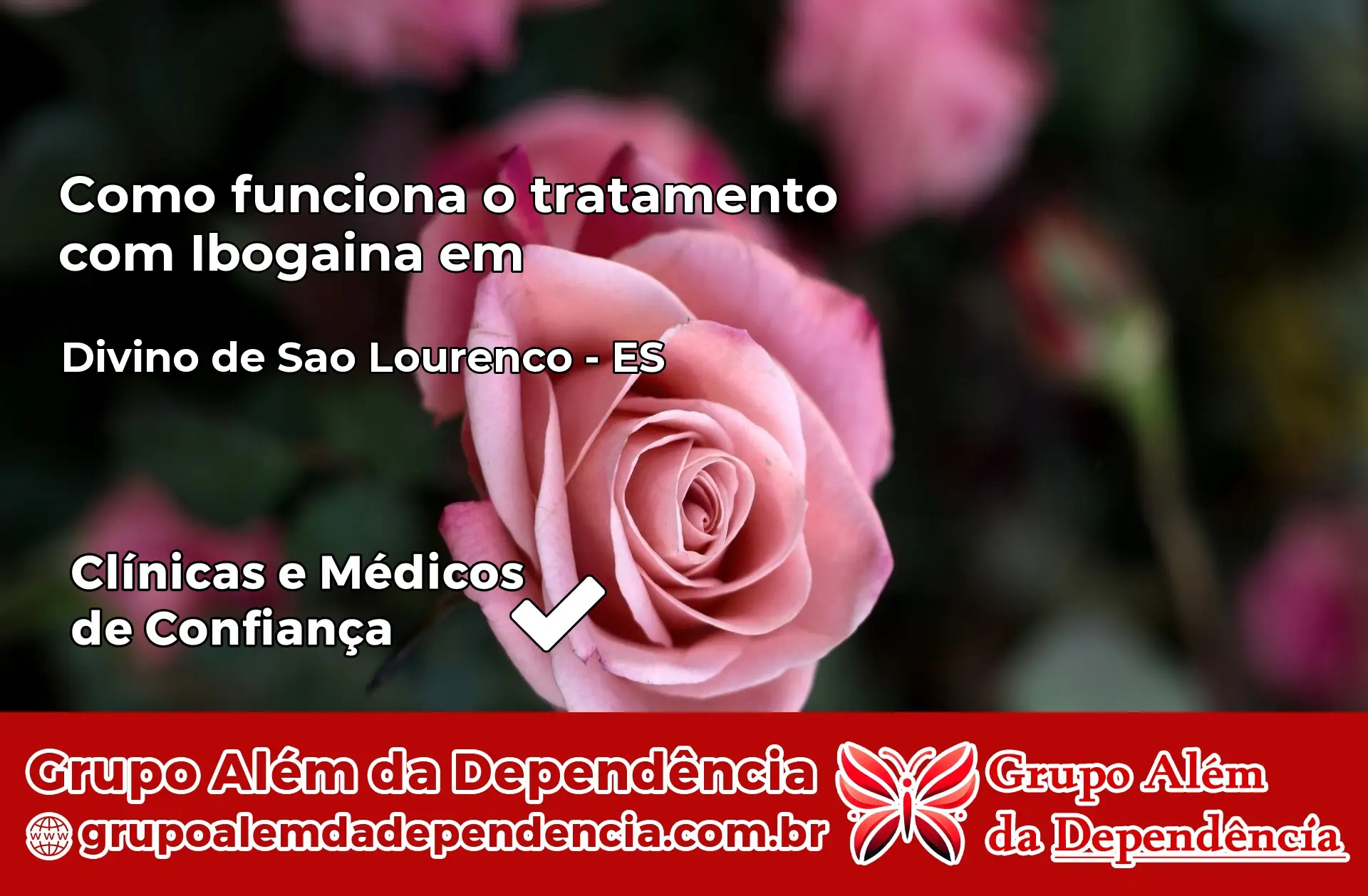 Como Funciona Ibogaína em Divino de São Lourenço – ES
