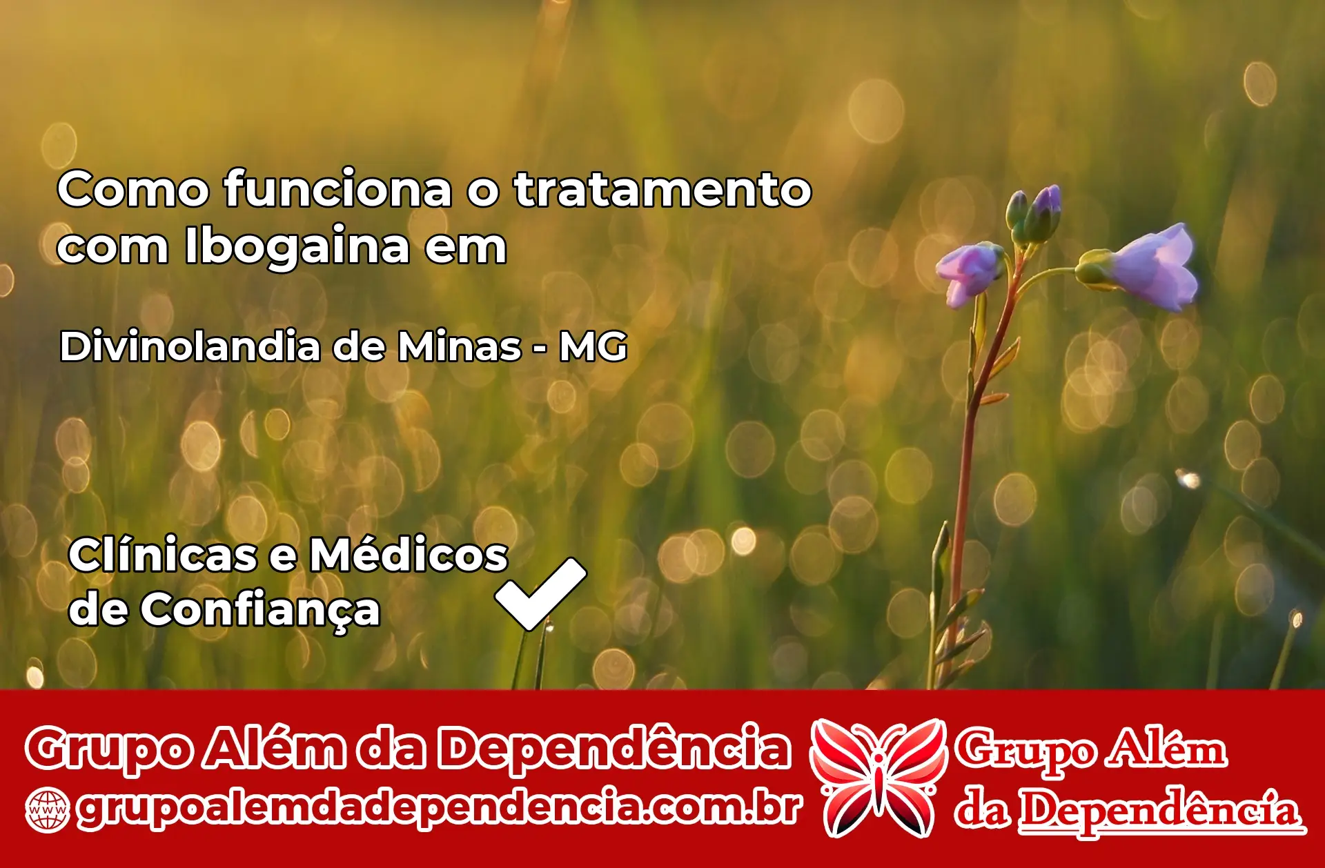Como Funciona Ibogaína em Divinolândia de Minas – MG