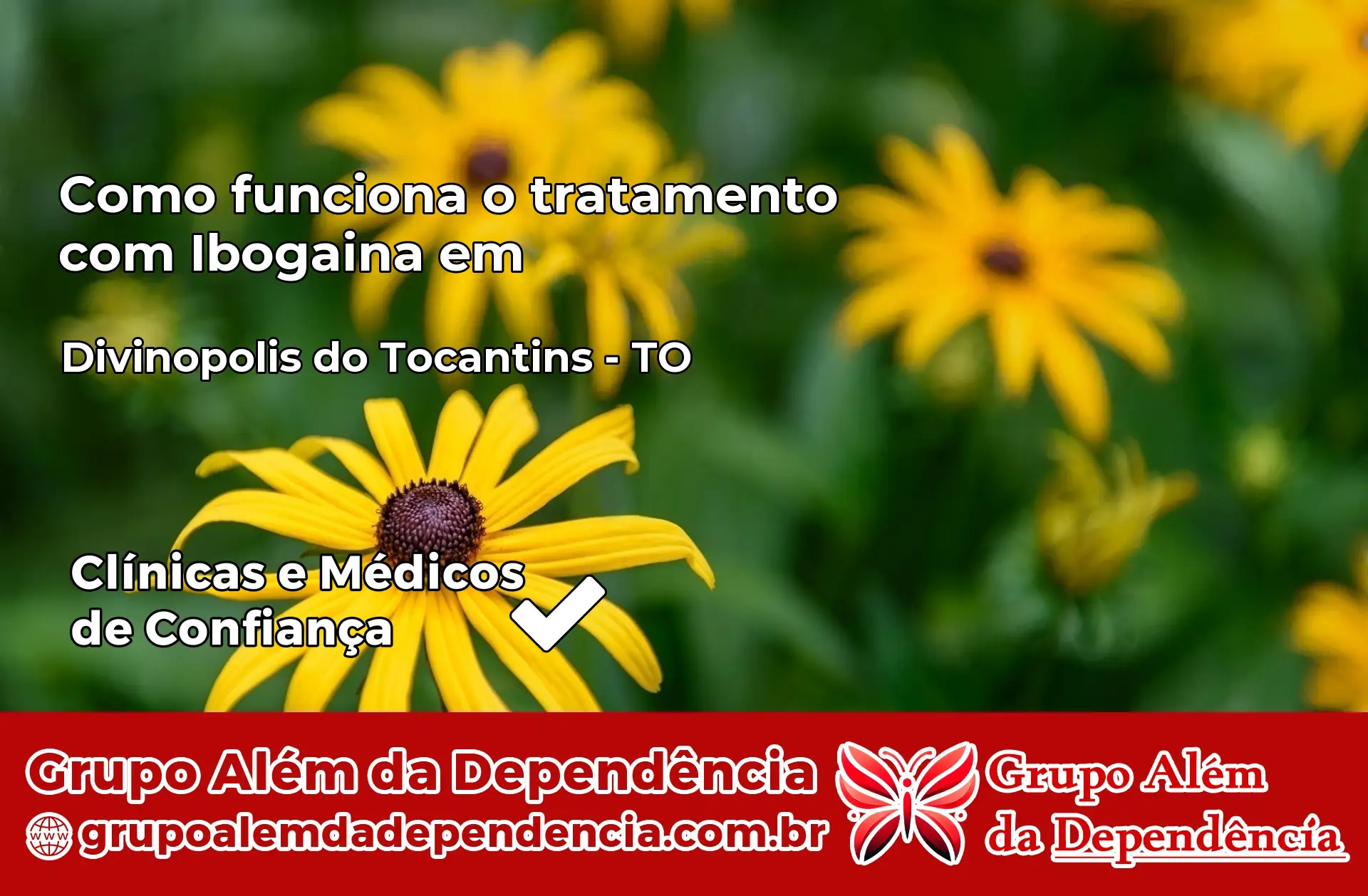 Como Funciona Ibogaína em Divinópolis do Tocantins – TO