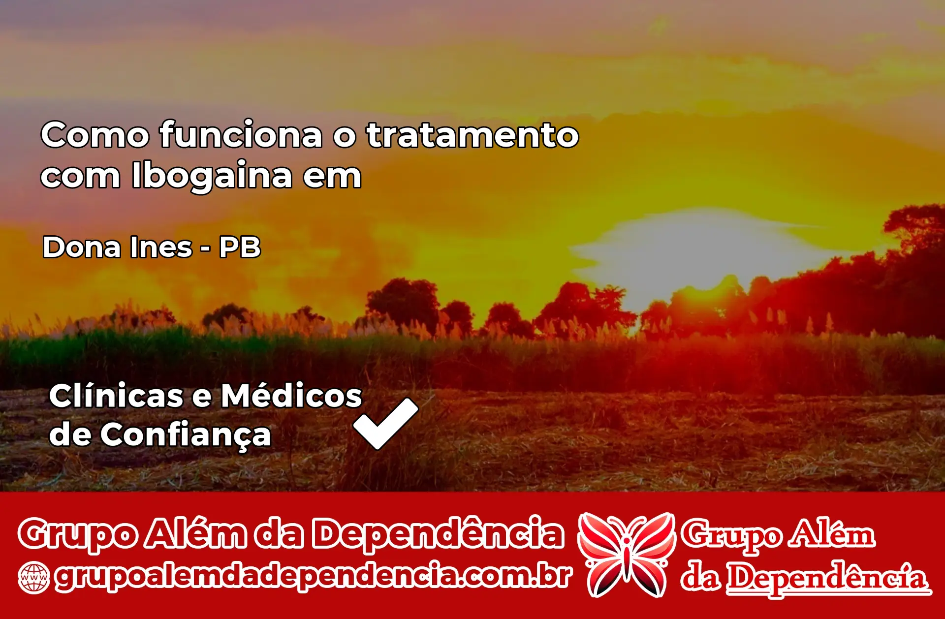 Como Funciona Ibogaína em Dona Inês – PB