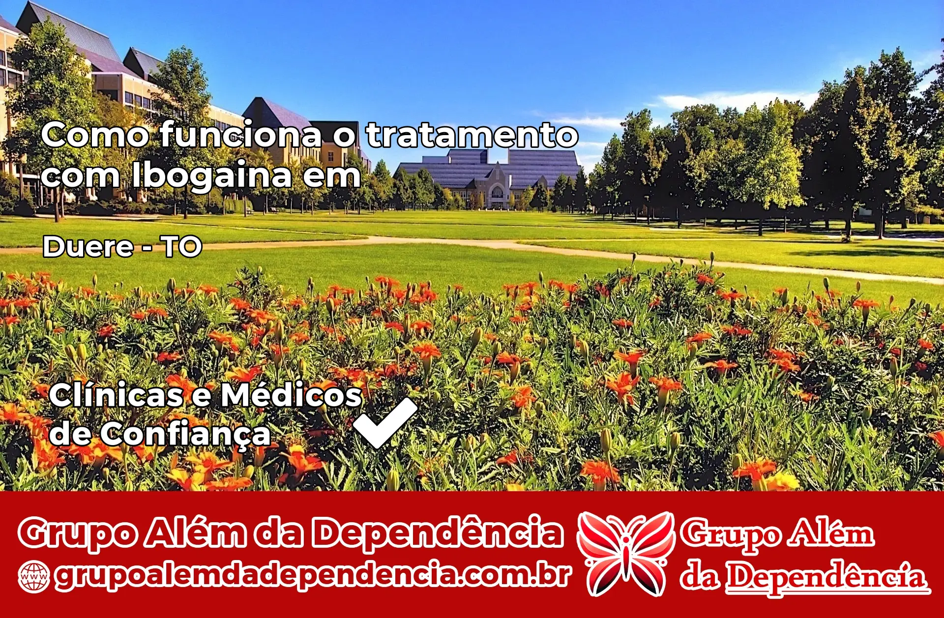 Como Funciona Ibogaína em Dueré – TO