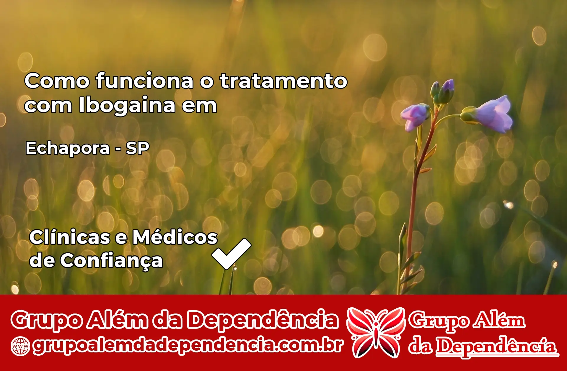 Como Funciona Ibogaína em Echaporã – SP