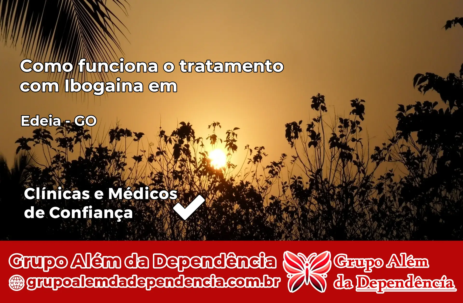 Como Funciona Ibogaína em Edéia – GO