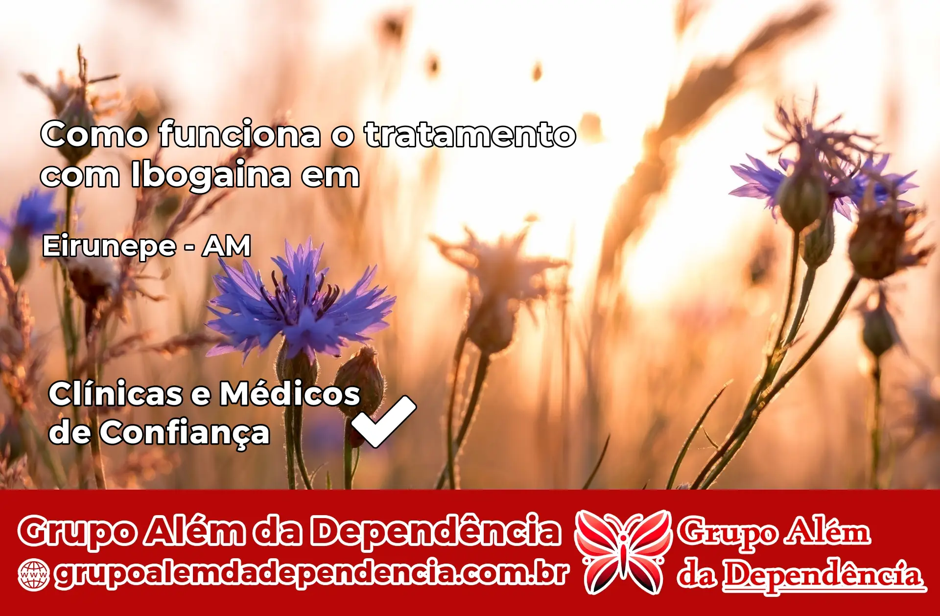 Como Funciona Ibogaína em Eirunepé – AM